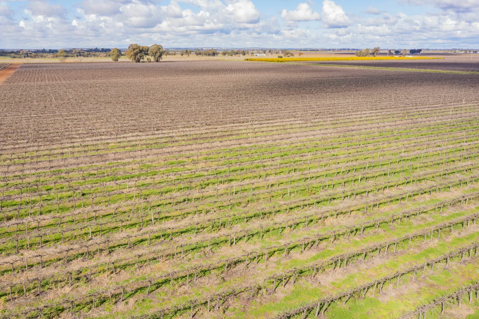 126 & 127 Yate Road,Leeton, Leeton - Thumbnail 8