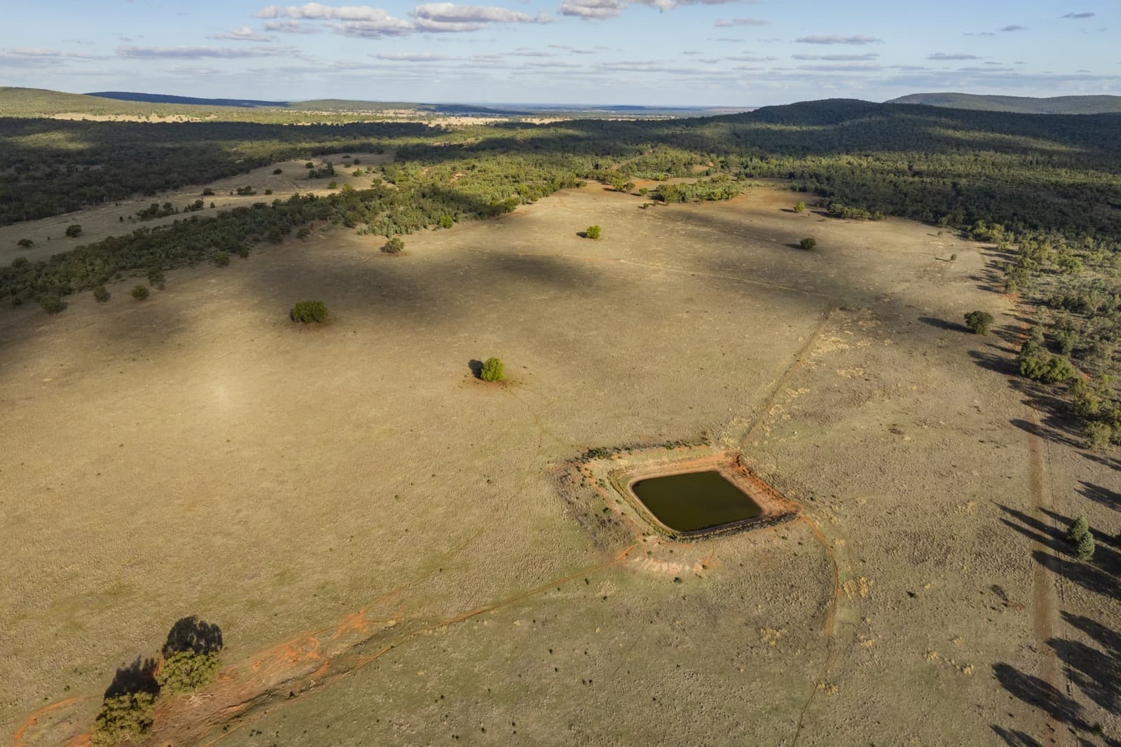 431 The Springs Road,Rankins Springs, Rankins Springs - Thumbnail 3
