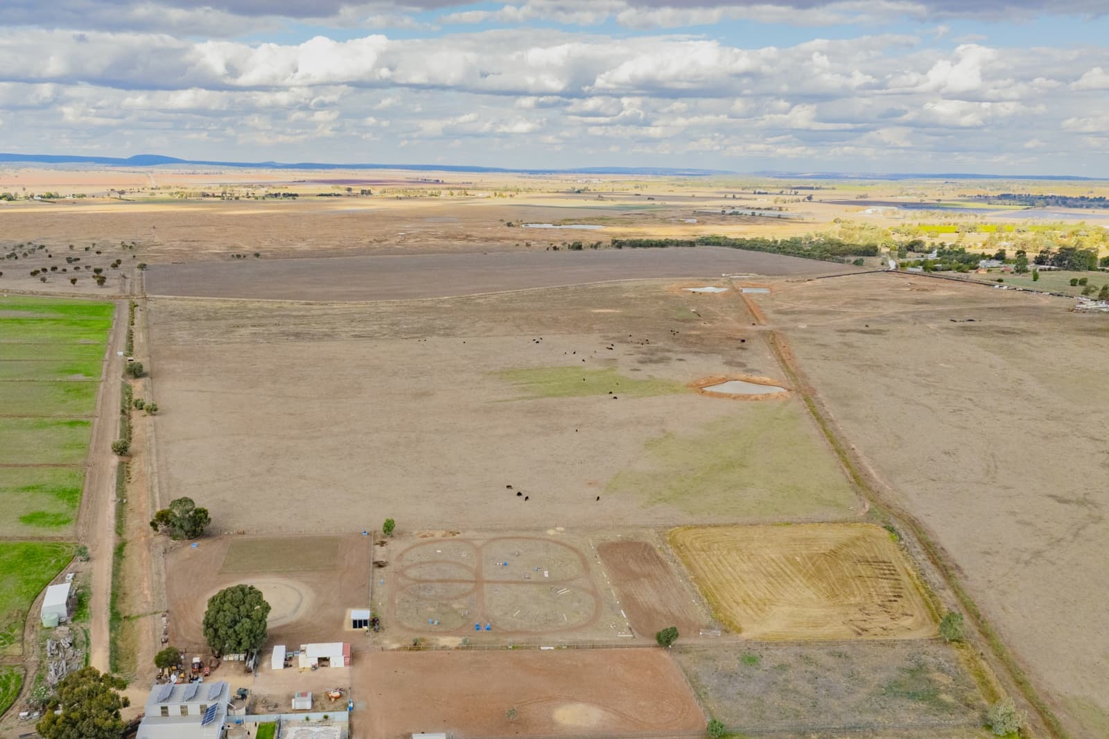 420 Petersham Road,Leeton, Leeton - Thumbnail 5