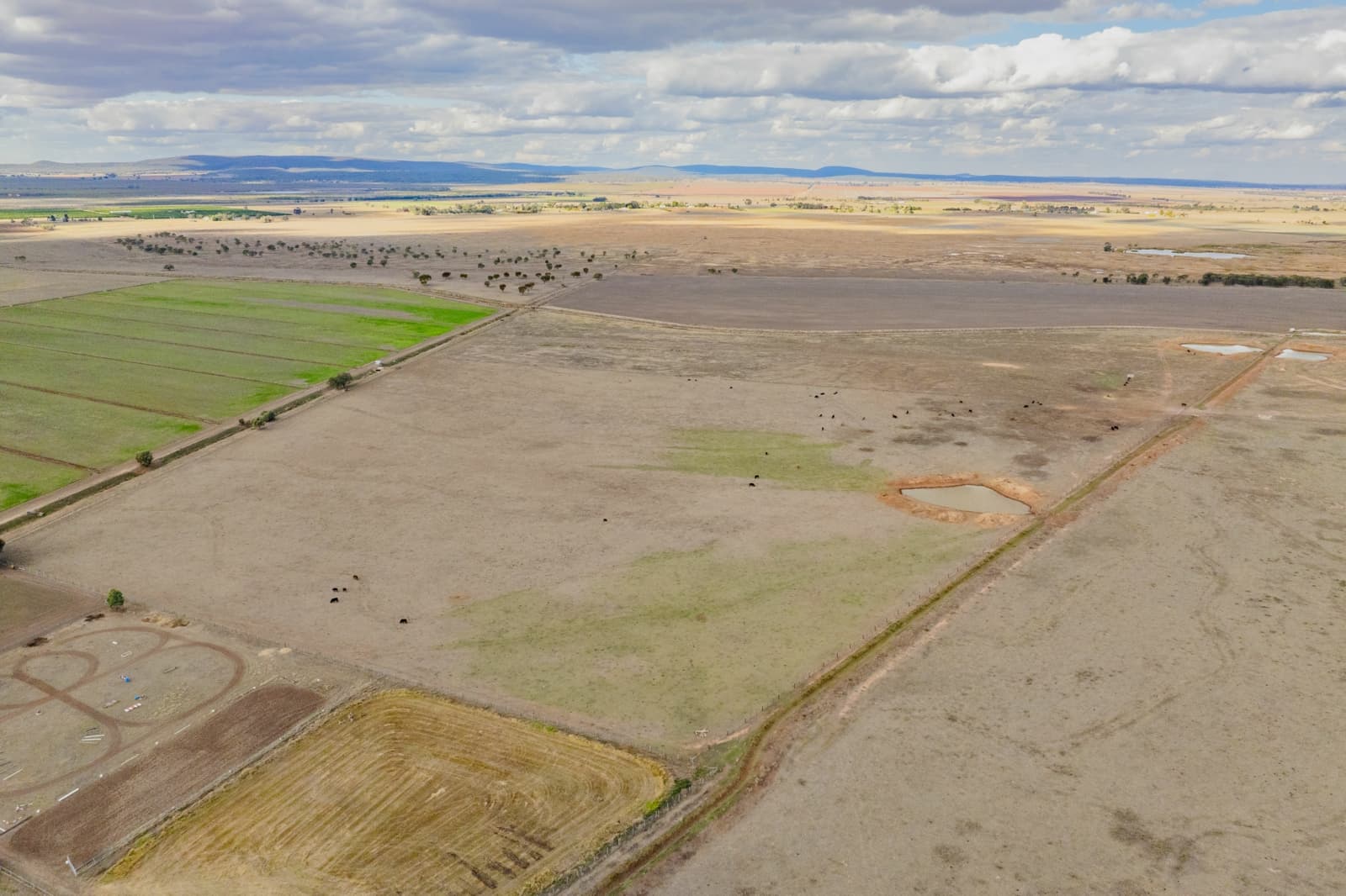 420 Petersham Road,Leeton, Leeton - Thumbnail 7