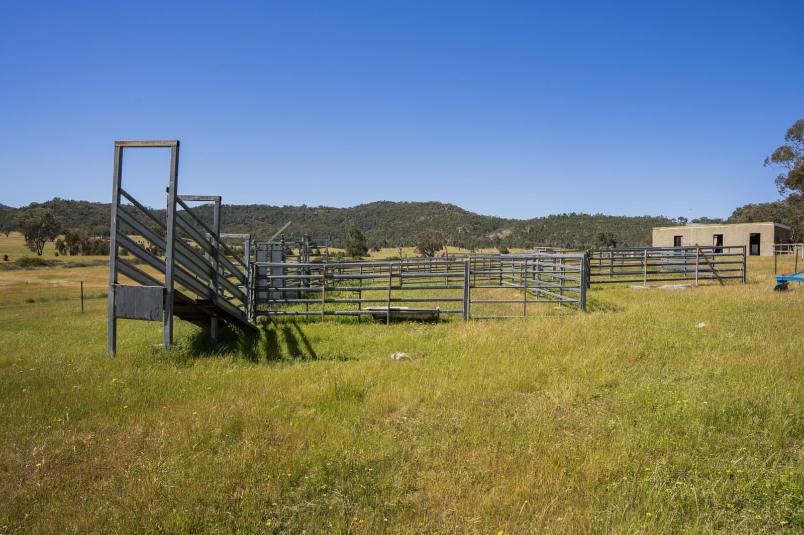 144 Reserve Road,Gelston Park, Gelston Park - Thumbnail 4