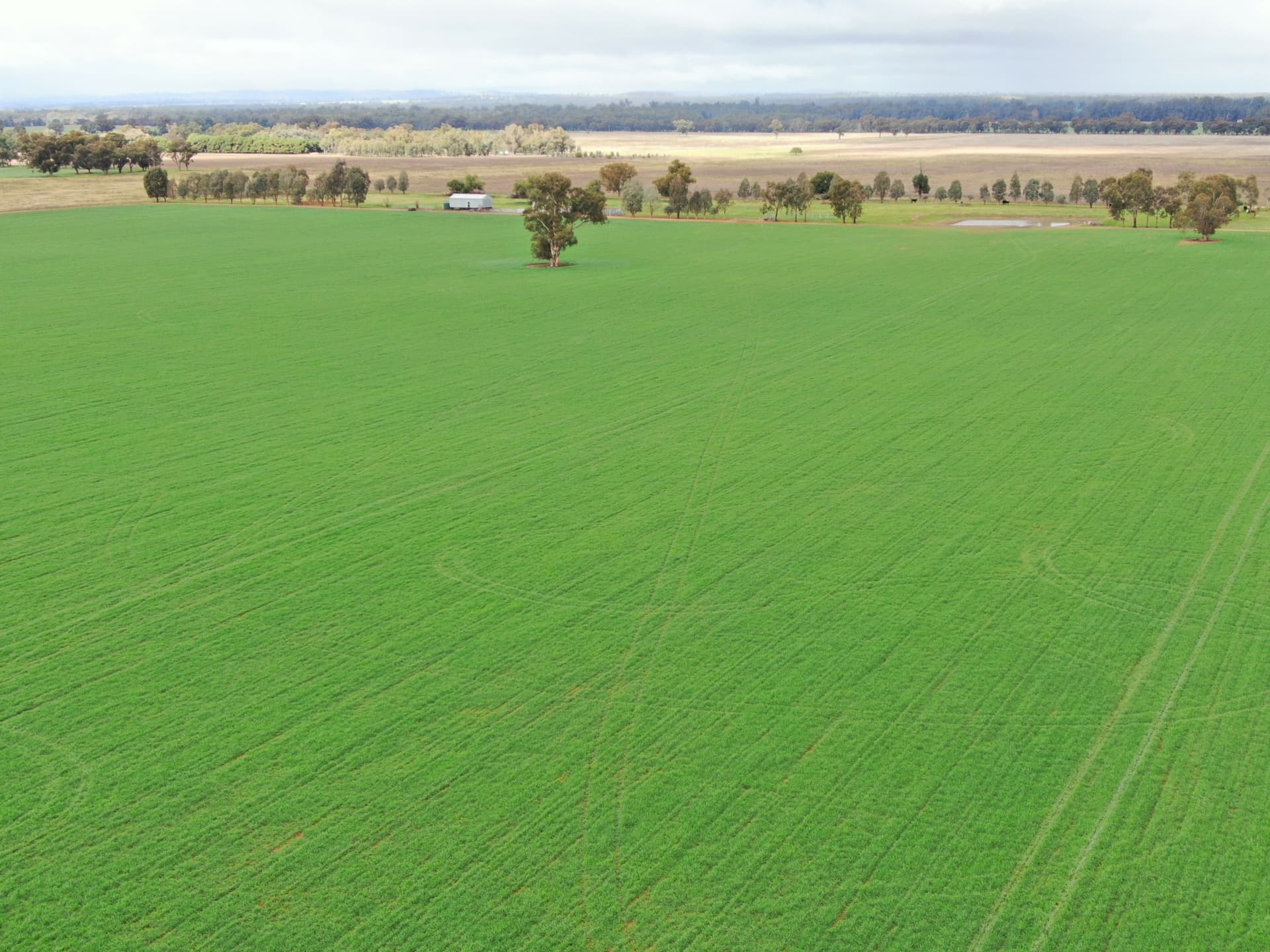 2648 Old Narrandera Road,Currawarna, Currawarna - Thumbnail 2