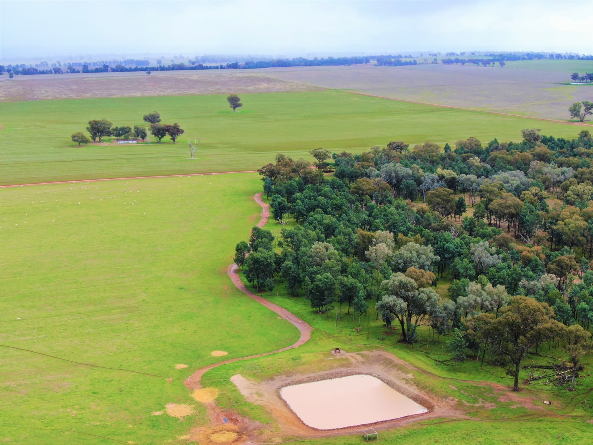 2648 Old Narrandera Road,Currawarna, Currawarna - Thumbnail 3