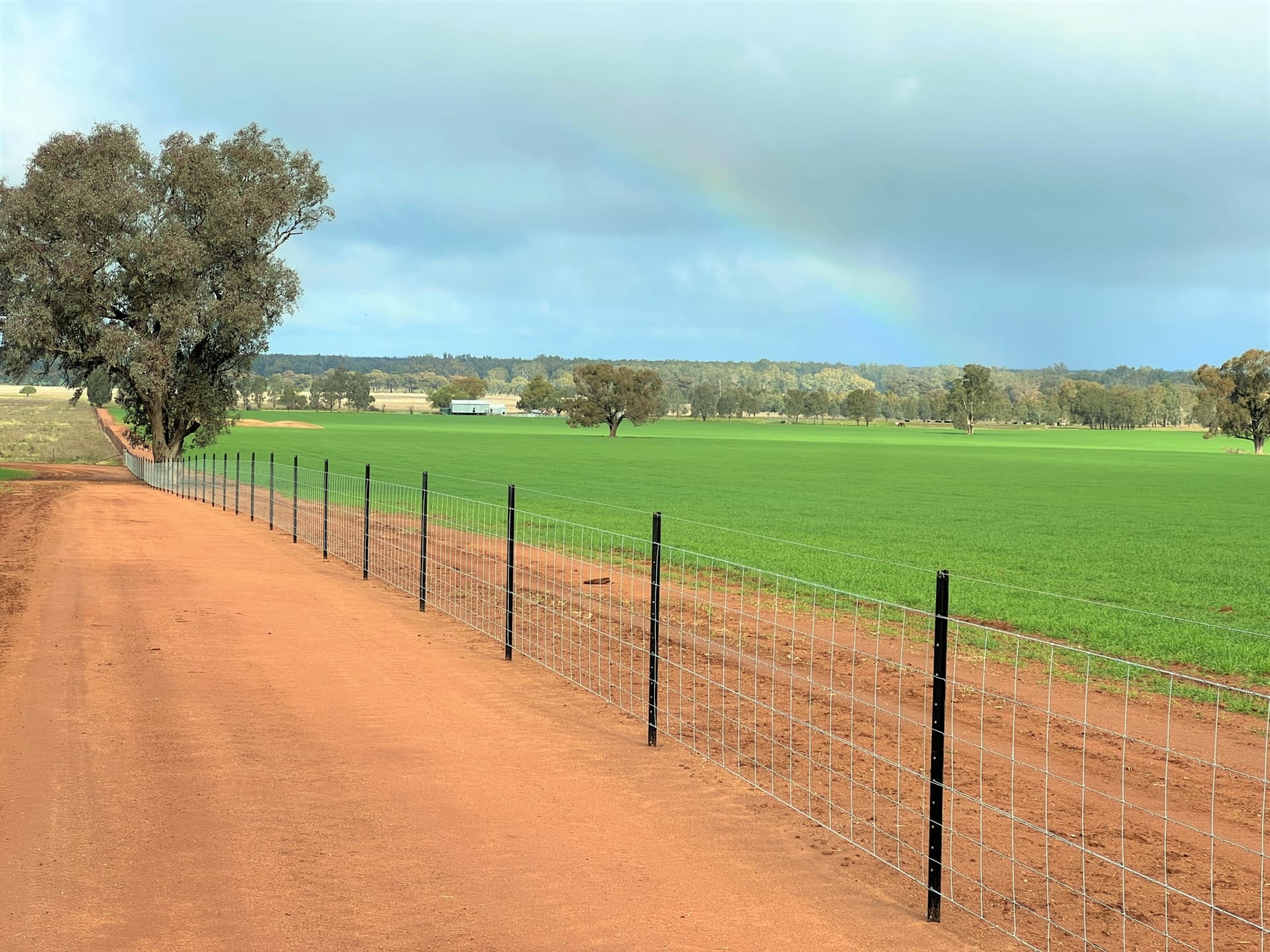 2648 Old Narrandera Road,Currawarna, Currawarna - Thumbnail 4