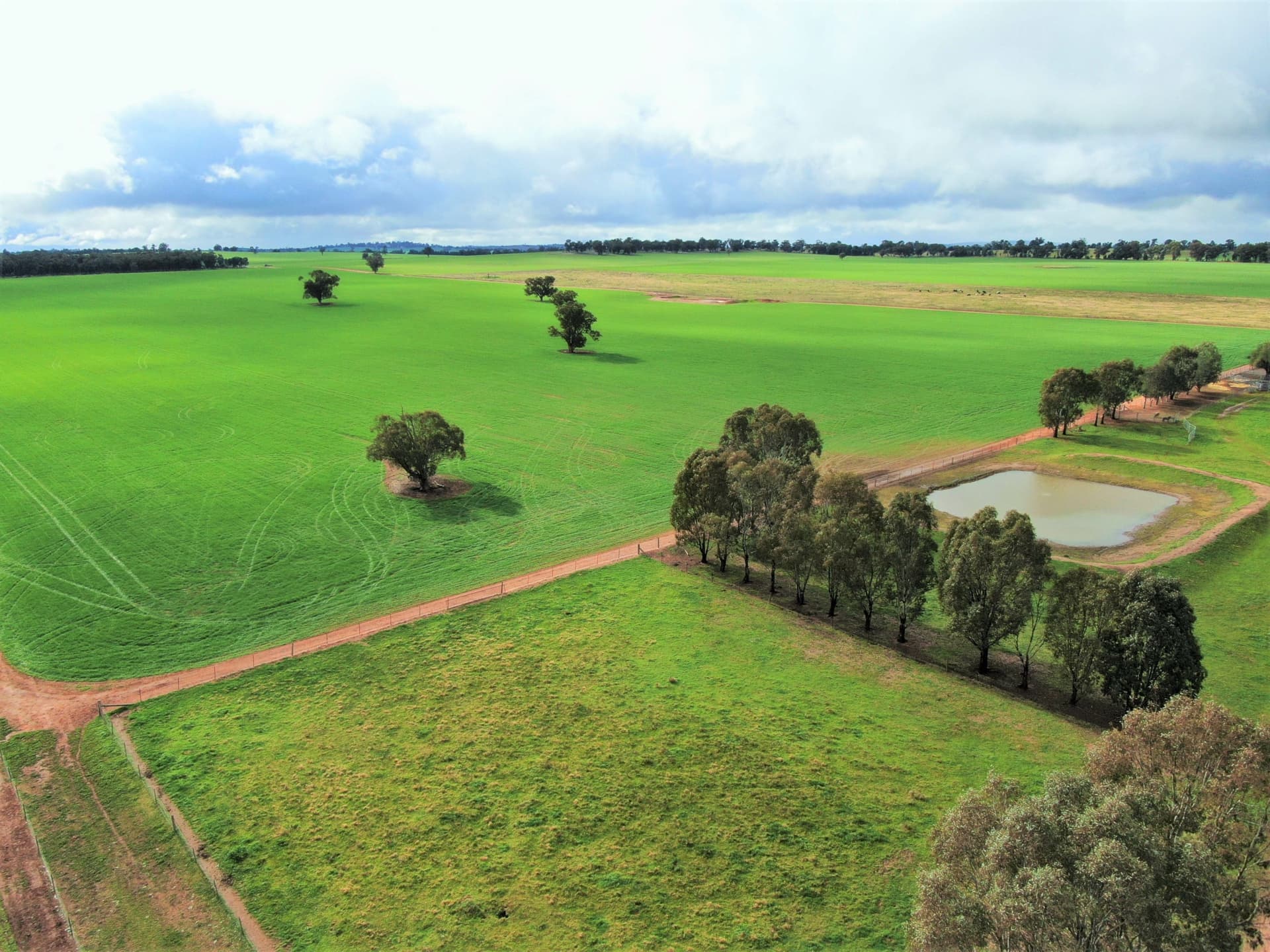 2648 Old Narrandera Road,Currawarna, Currawarna - Thumbnail 5