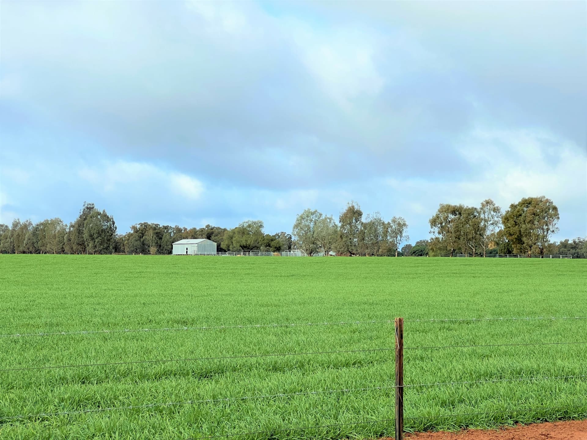 2648 Old Narrandera Road,Currawarna, Currawarna - Thumbnail 6