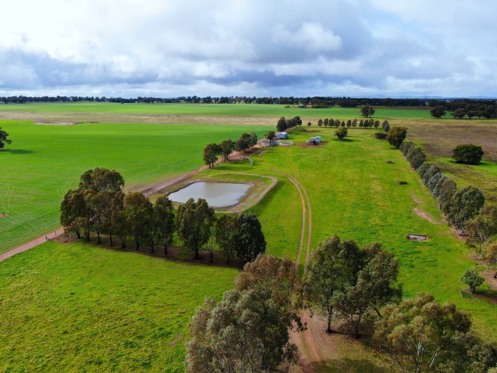 2648 Old Narrandera Road,Currawarna, Currawarna - Thumbnail 7