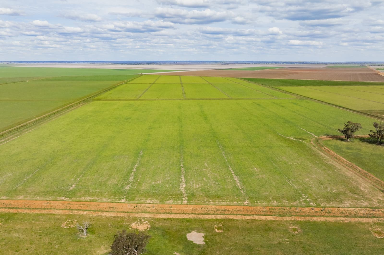 10755 Sturt Highway,Narrandera, Euroley - Thumbnail 3
