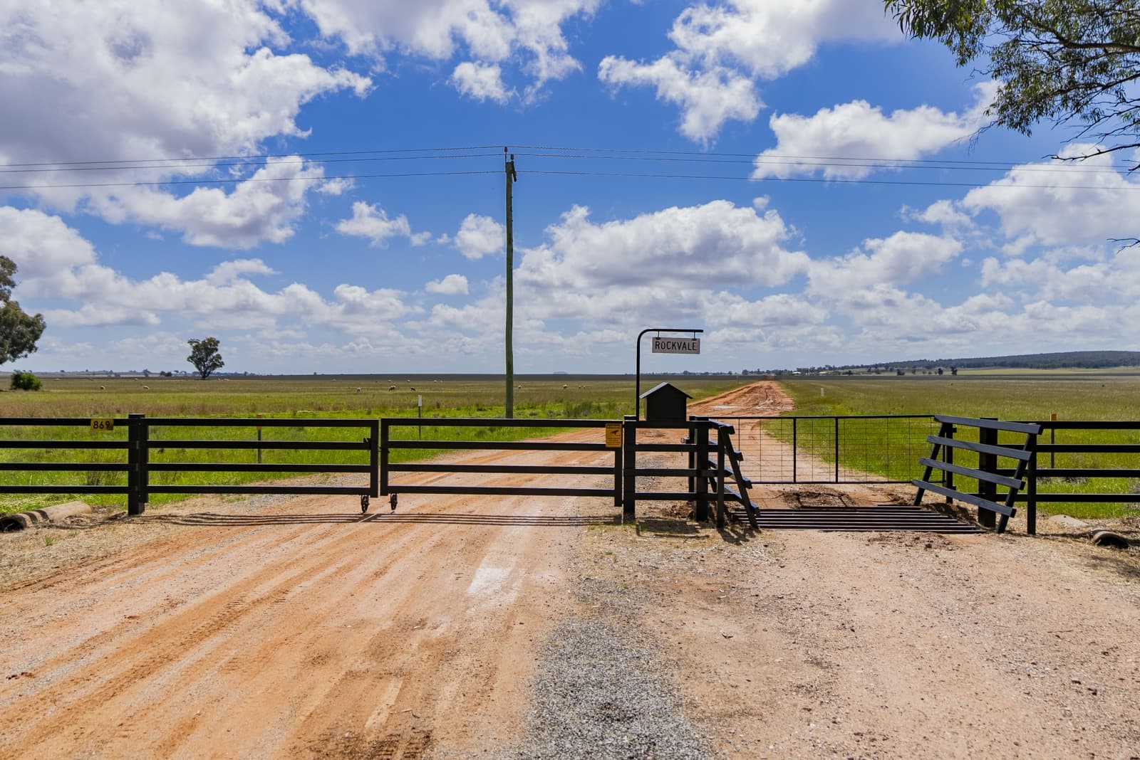 869 Newell Highway,Narrandera, Narrandera - Thumbnail 2