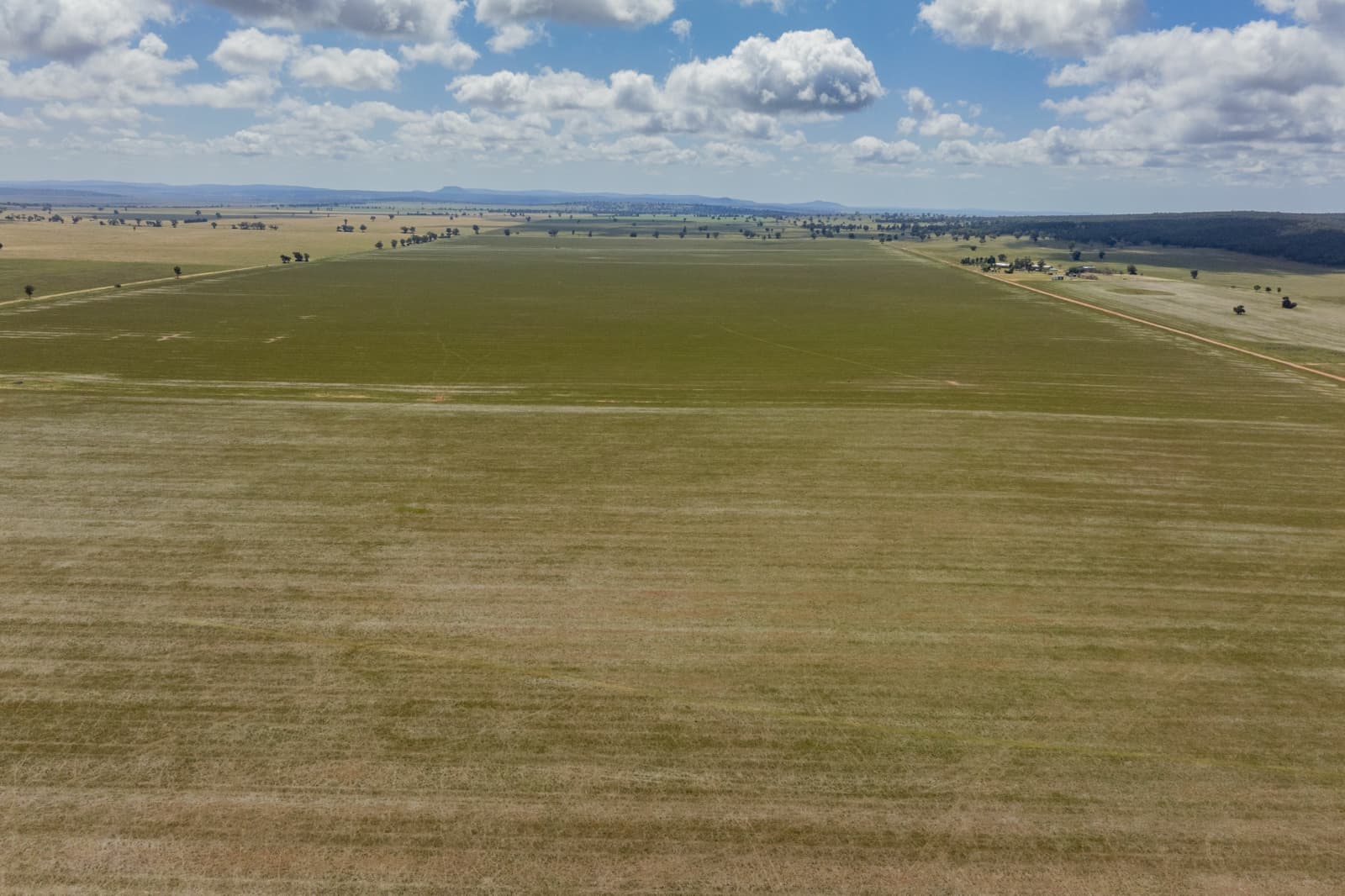 869 Newell Highway,Narrandera, Narrandera - Thumbnail 4
