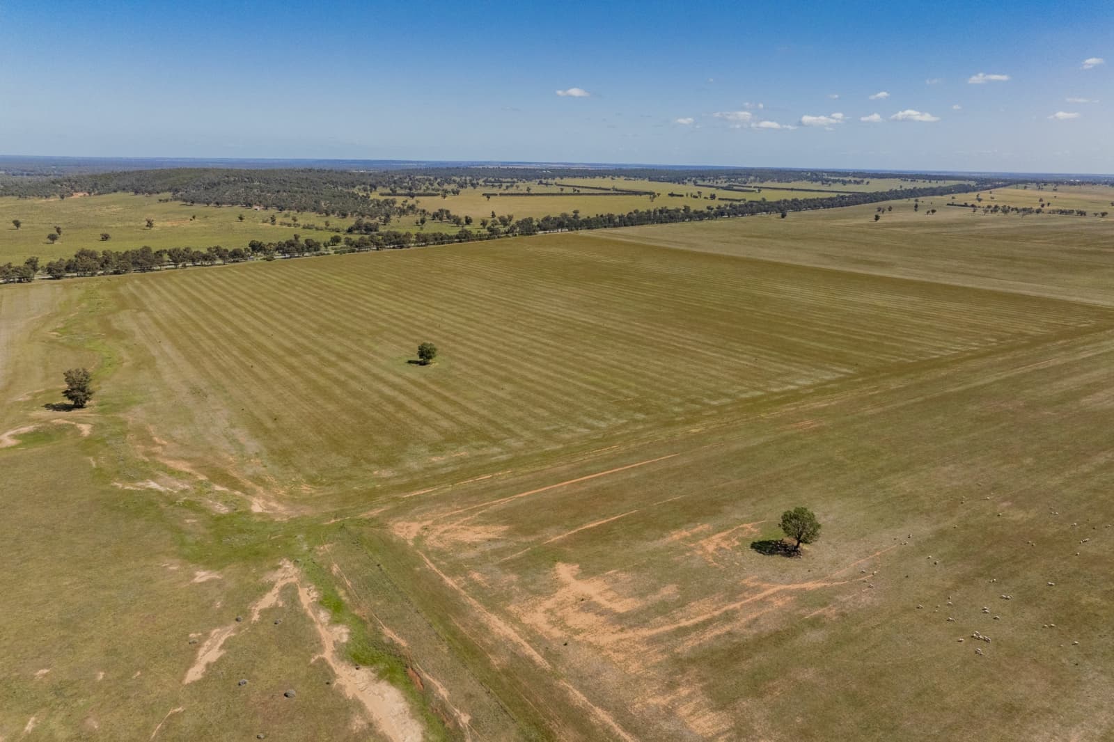 869 Newell Highway,Narrandera, Narrandera - Thumbnail 6