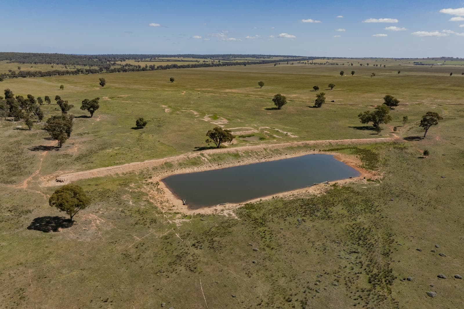 869 Newell Highway,Narrandera, Narrandera - Thumbnail 8