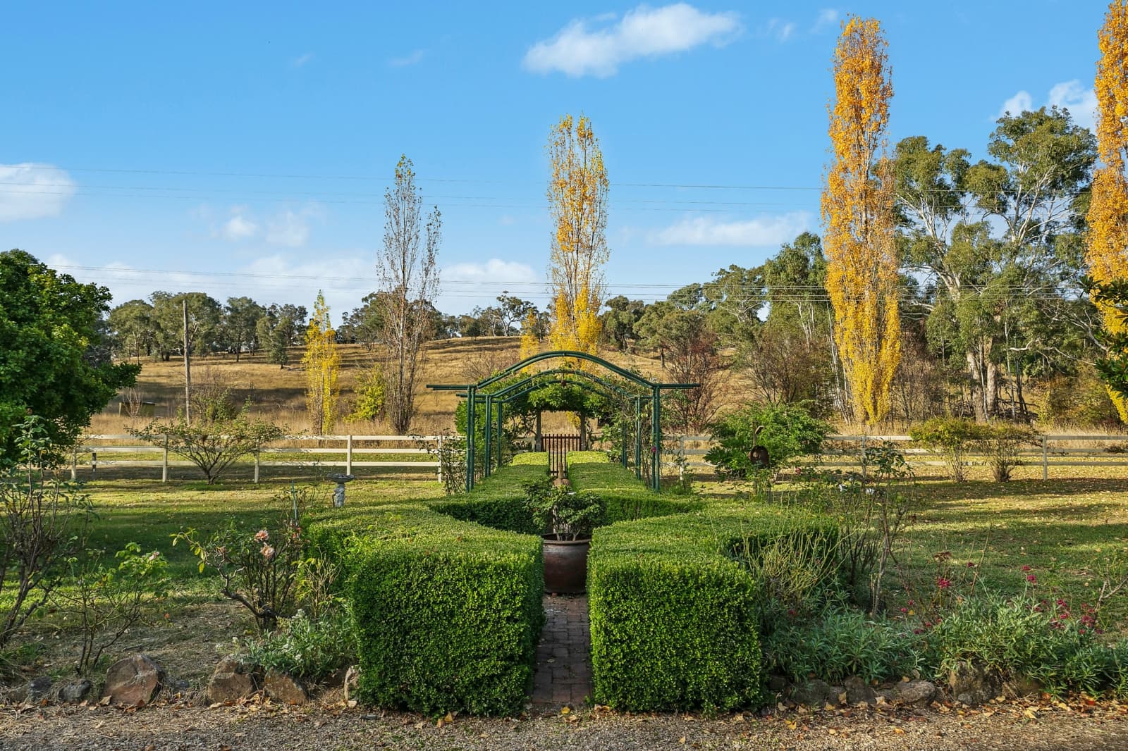 79 Thompson Road,Orange, Orange - Thumbnail 3