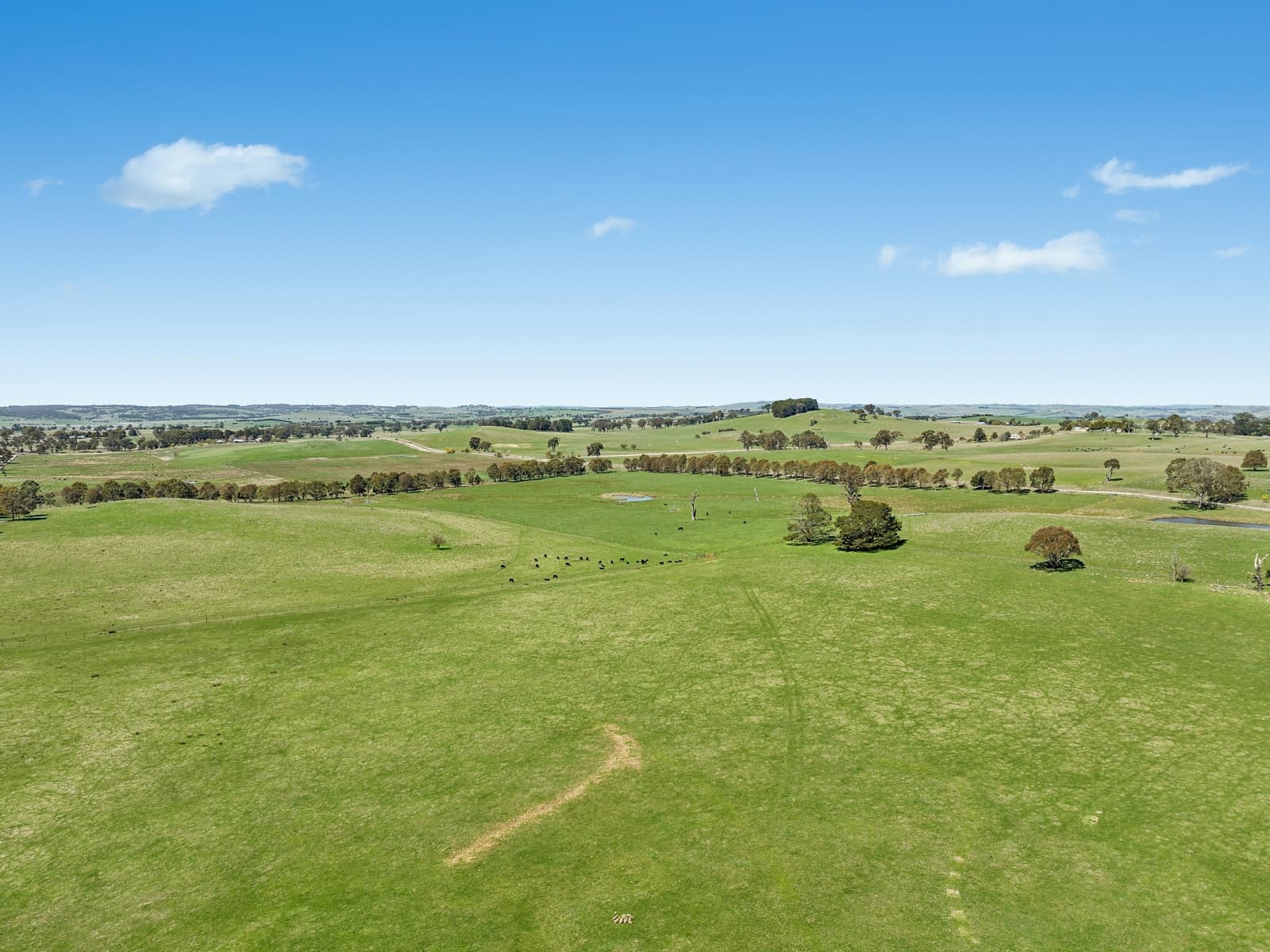 565 Nyes Gate Road,Millthorpe, Millthorpe - Image 1