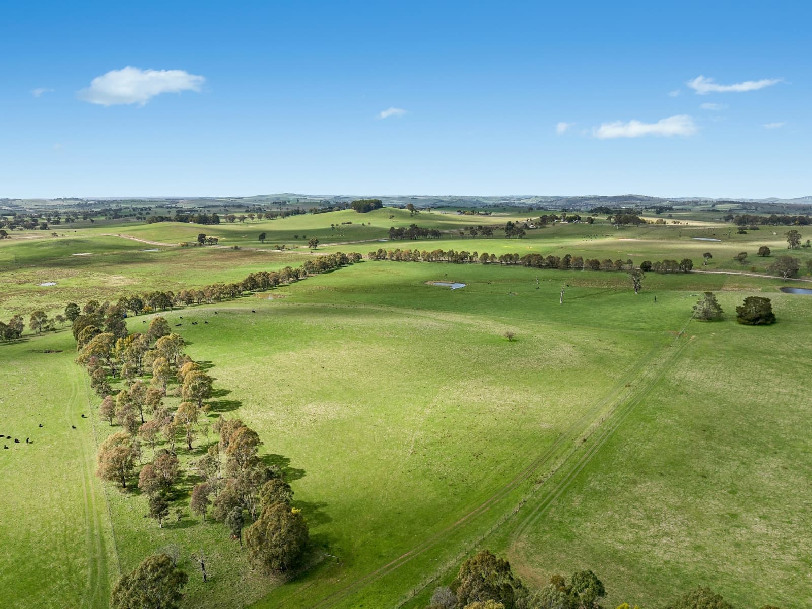 565 Nyes Gate Road,Millthorpe, Millthorpe - Thumbnail 2