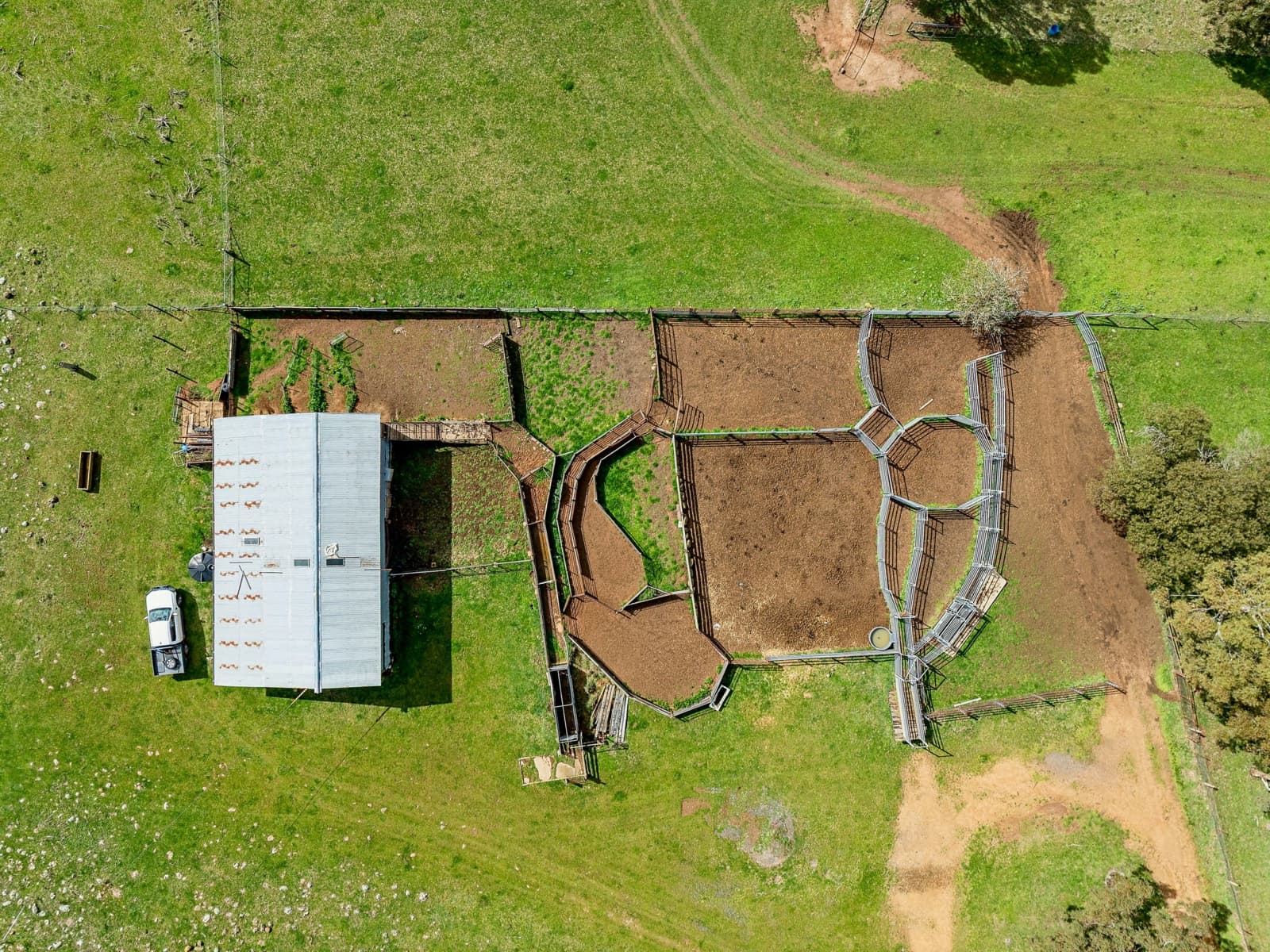 565 Nyes Gate Road,Millthorpe, Millthorpe - Thumbnail 4