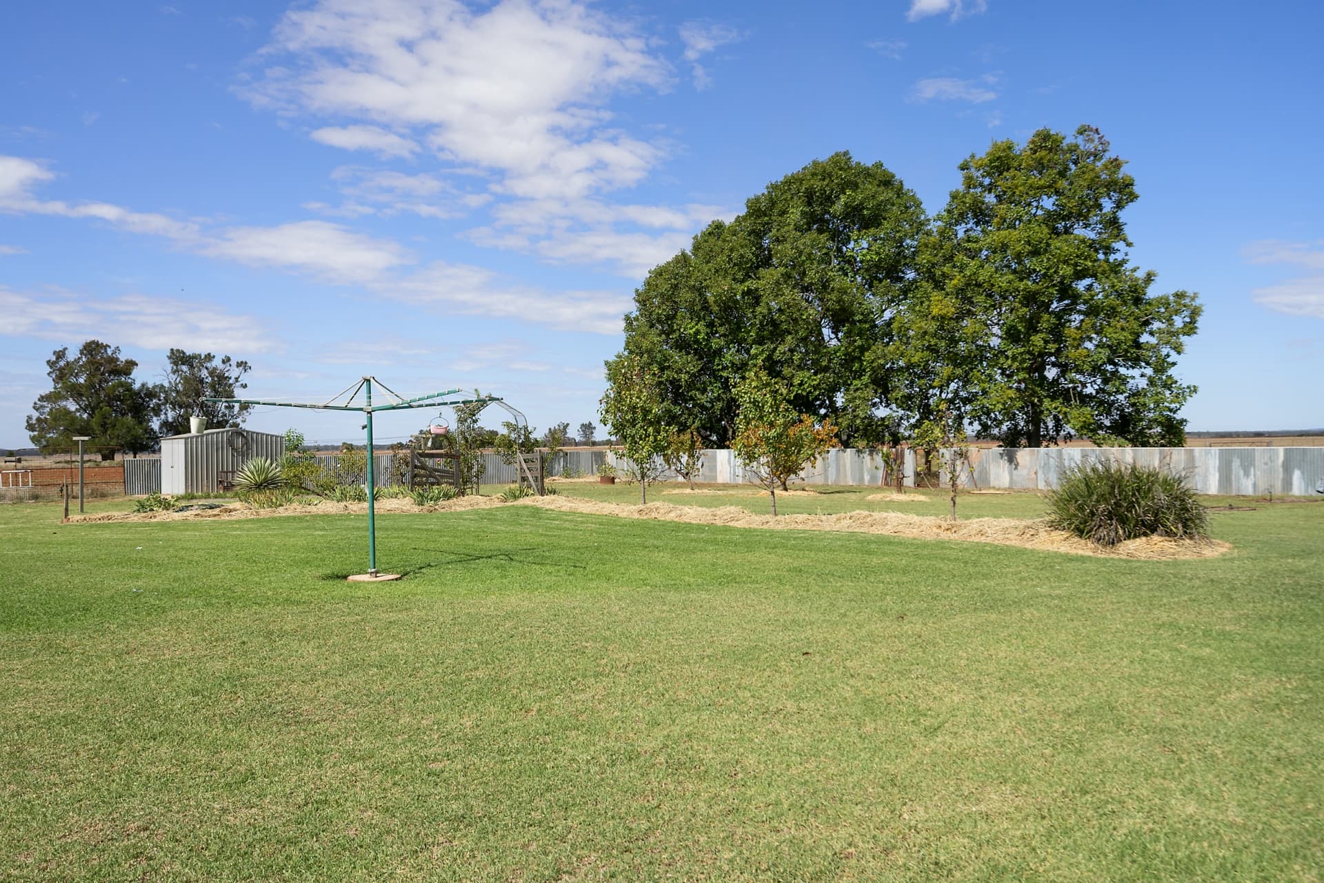 4229 Bobadah Road,Bobadah, Bobadah - Thumbnail 8
