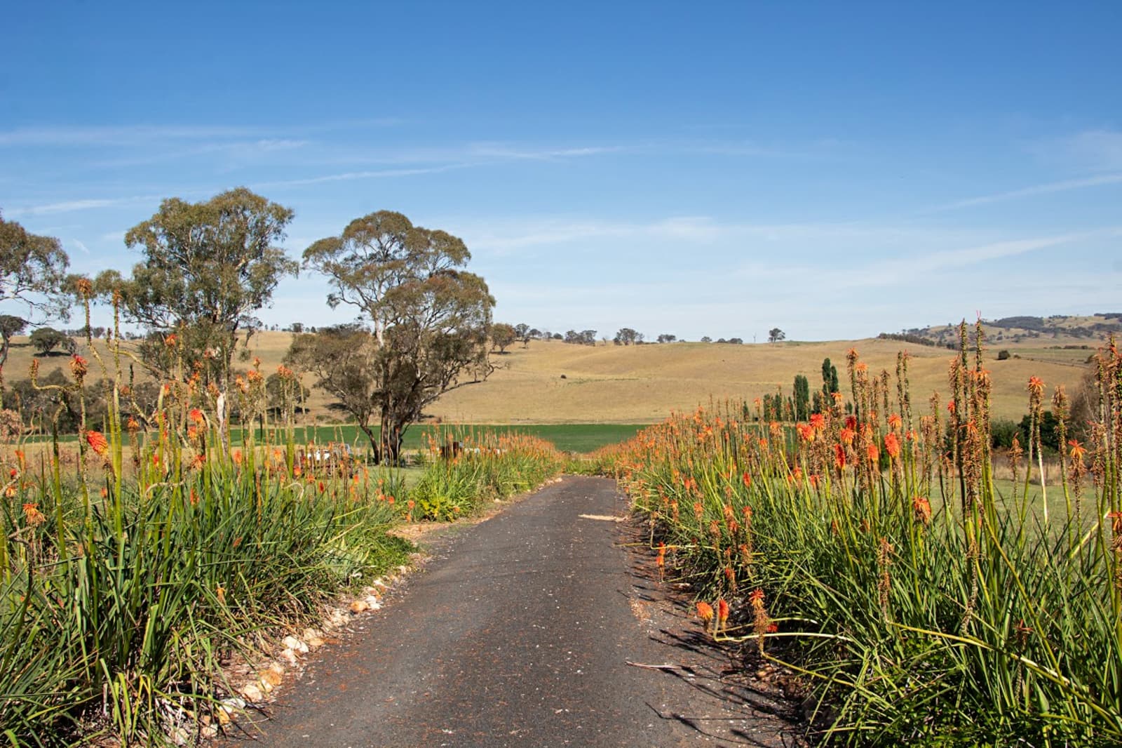 153 Triangle Flat Road,Rockley, Rockley - Thumbnail 6