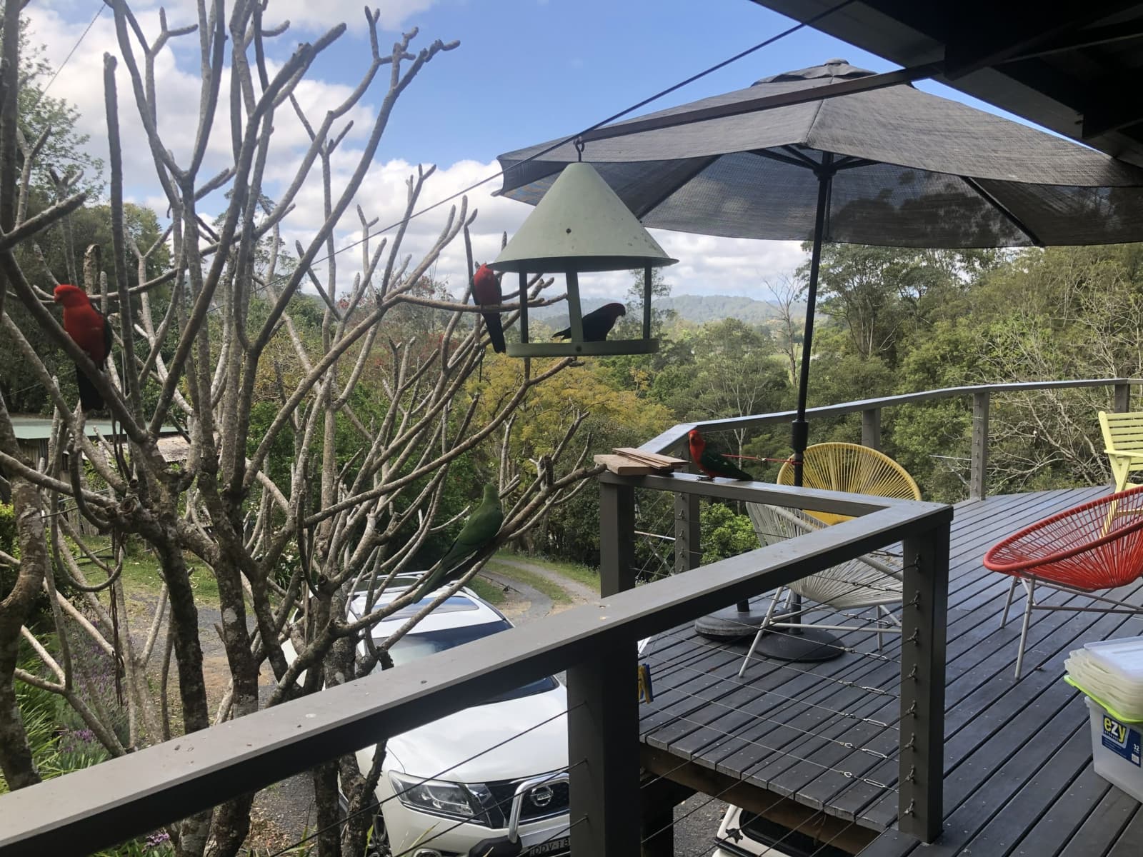 432 North Island Loop Road,Upper Orara, Upper Orara - Thumbnail 4