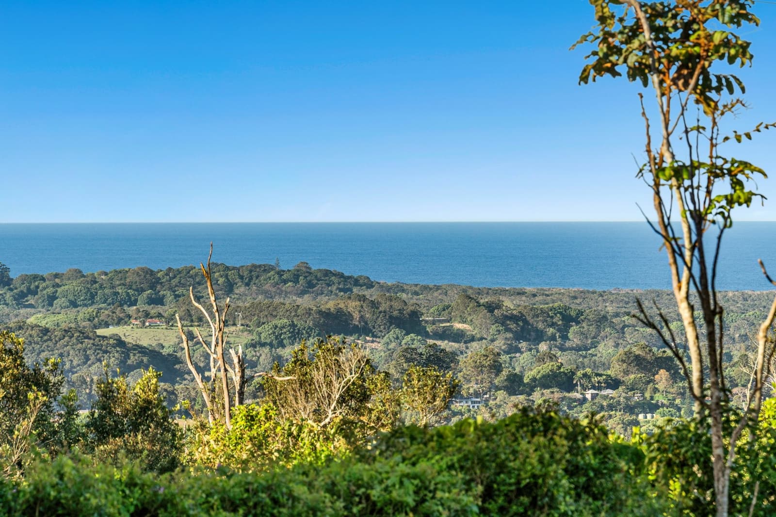 457 Coolamon Scenic Drive,Coorabell, Coorabell - Thumbnail 4