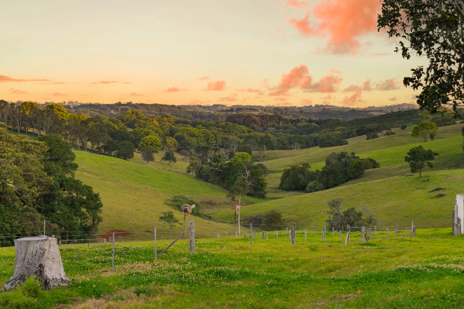 457 Coolamon Scenic Drive,Coorabell, Coorabell - Thumbnail 5
