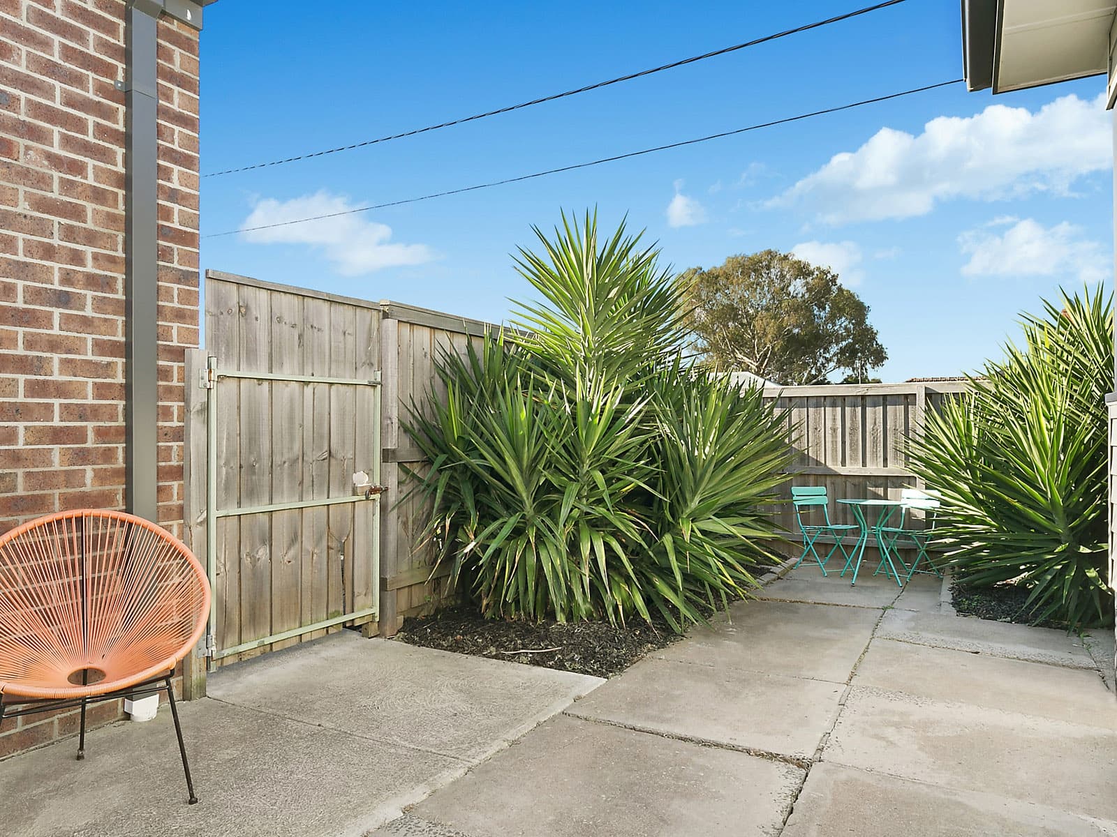 23 Logan Street,Hamlyn Heights, Hamlyn Heights - Thumbnail 5