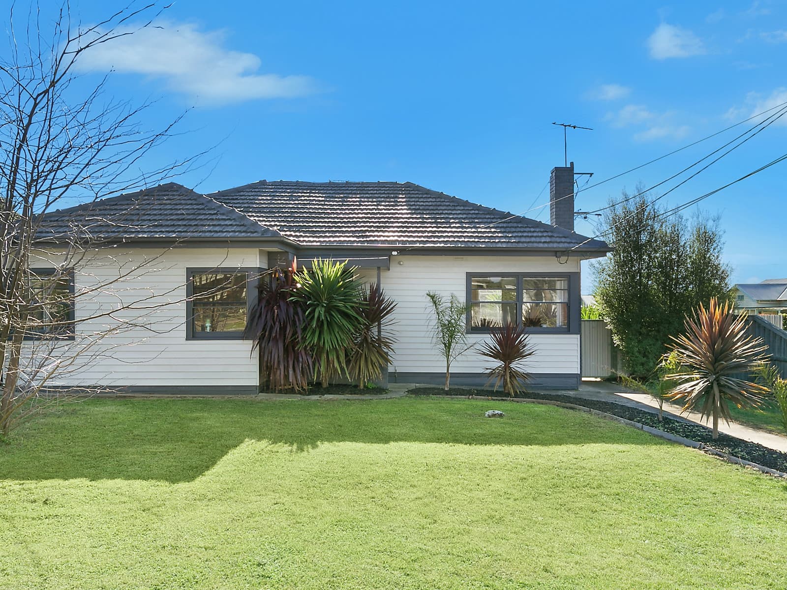 23 Logan Street,Hamlyn Heights, Hamlyn Heights - Thumbnail 8