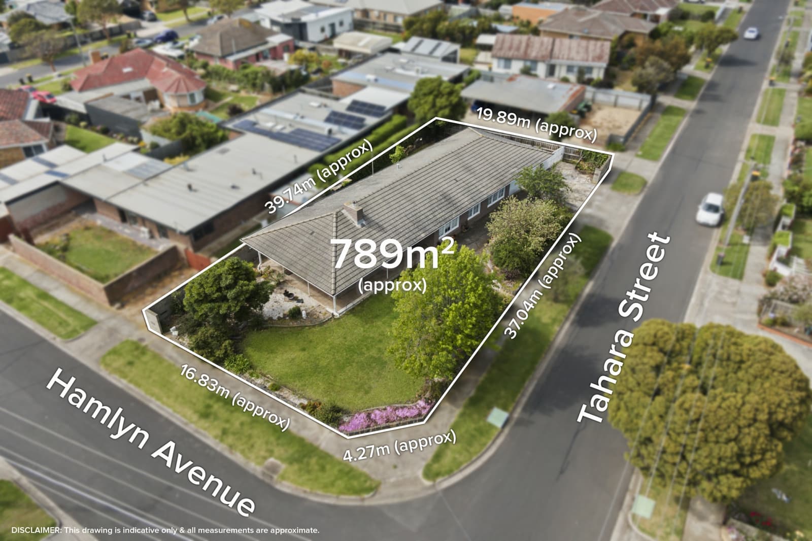 44 Hamlyn Avenue,Hamlyn Heights, Hamlyn Heights - Thumbnail 2