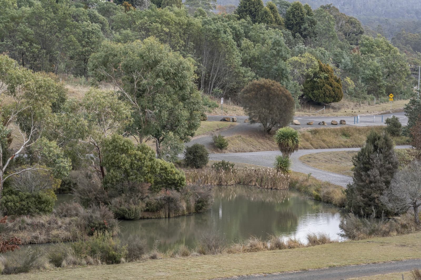 13 Longvista Road,Blackstone Heights, Blackstone Heights - Thumbnail 7