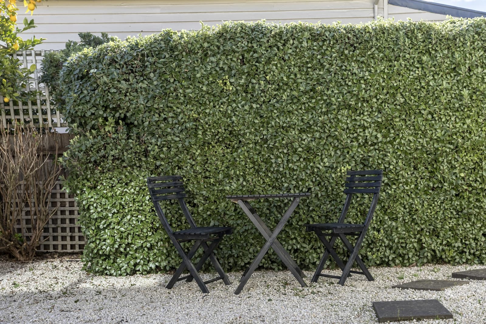 13A Lawrence Street,Launceston, Launceston - Thumbnail 7