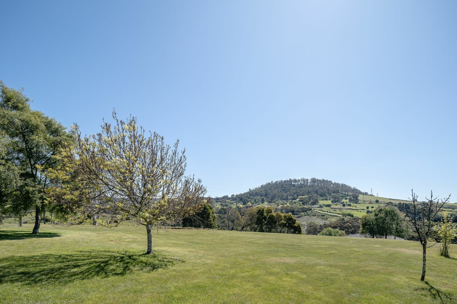 6 Muddy Creek Road,Legana, Legana - Image 1