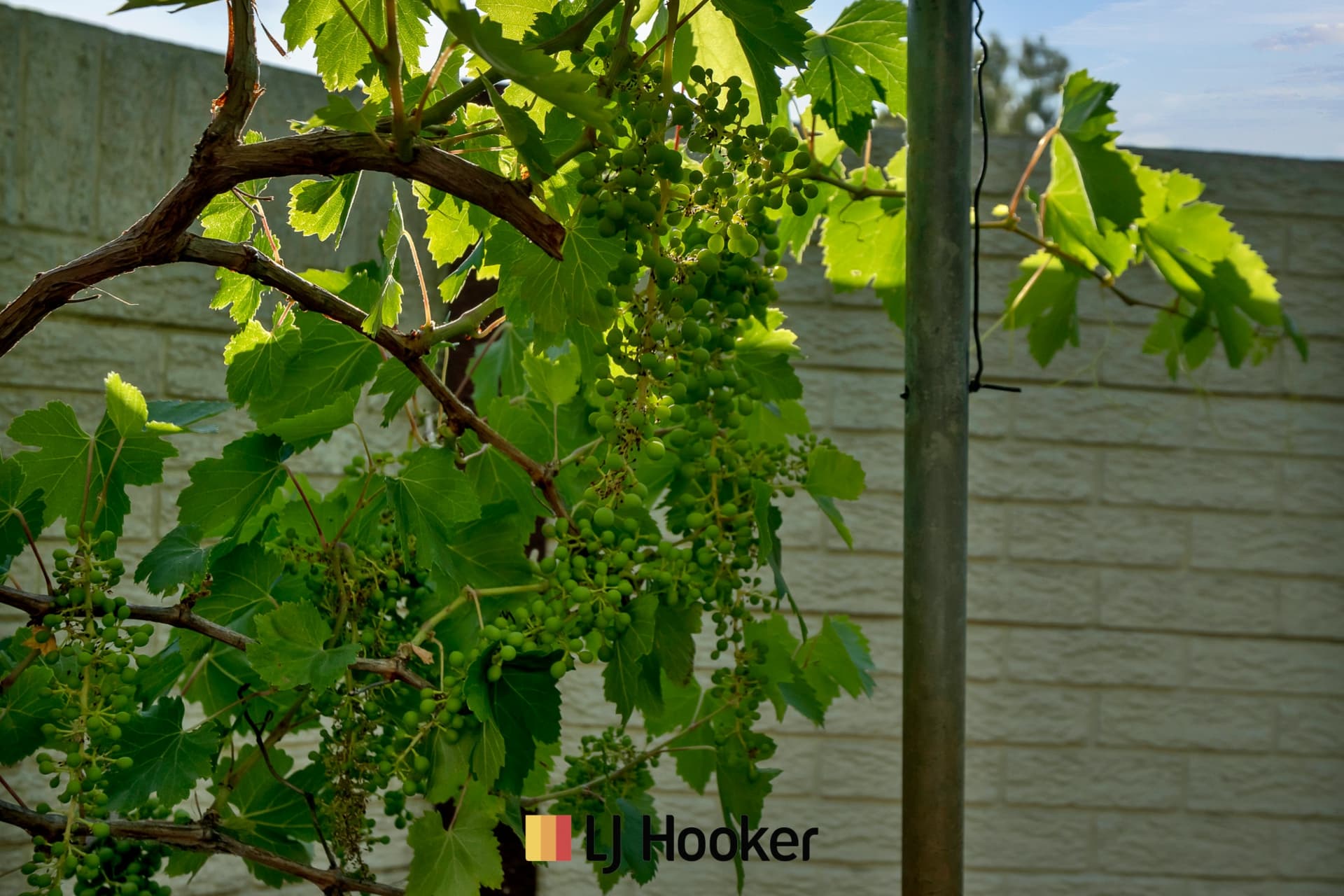 1 Boyare Avenue, Mirrabooka, Mirrabooka - Thumbnail 5