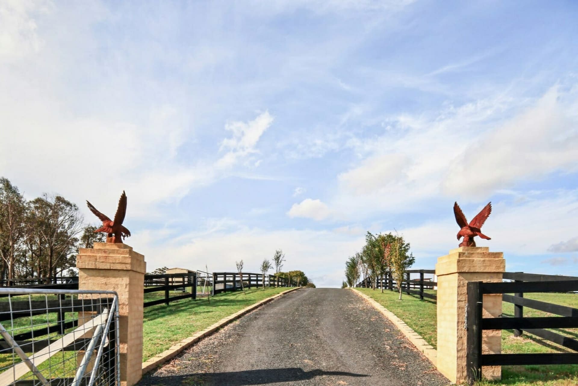 288 Tiyces Lane, Boxers Creek, Boxers Creek - Thumbnail 6