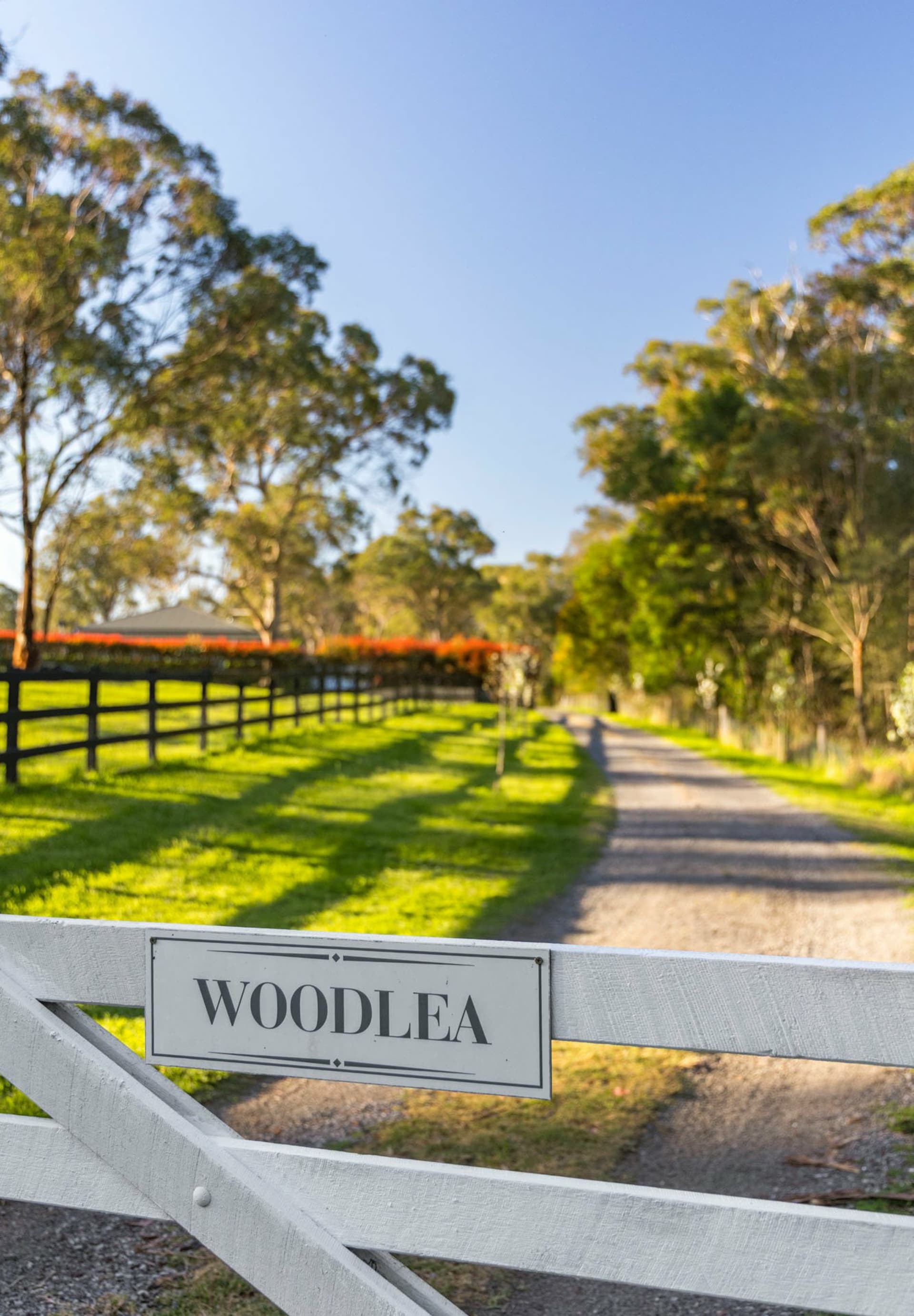 10 Oaks Road, Thirlmere, Thirlmere - Thumbnail 8
