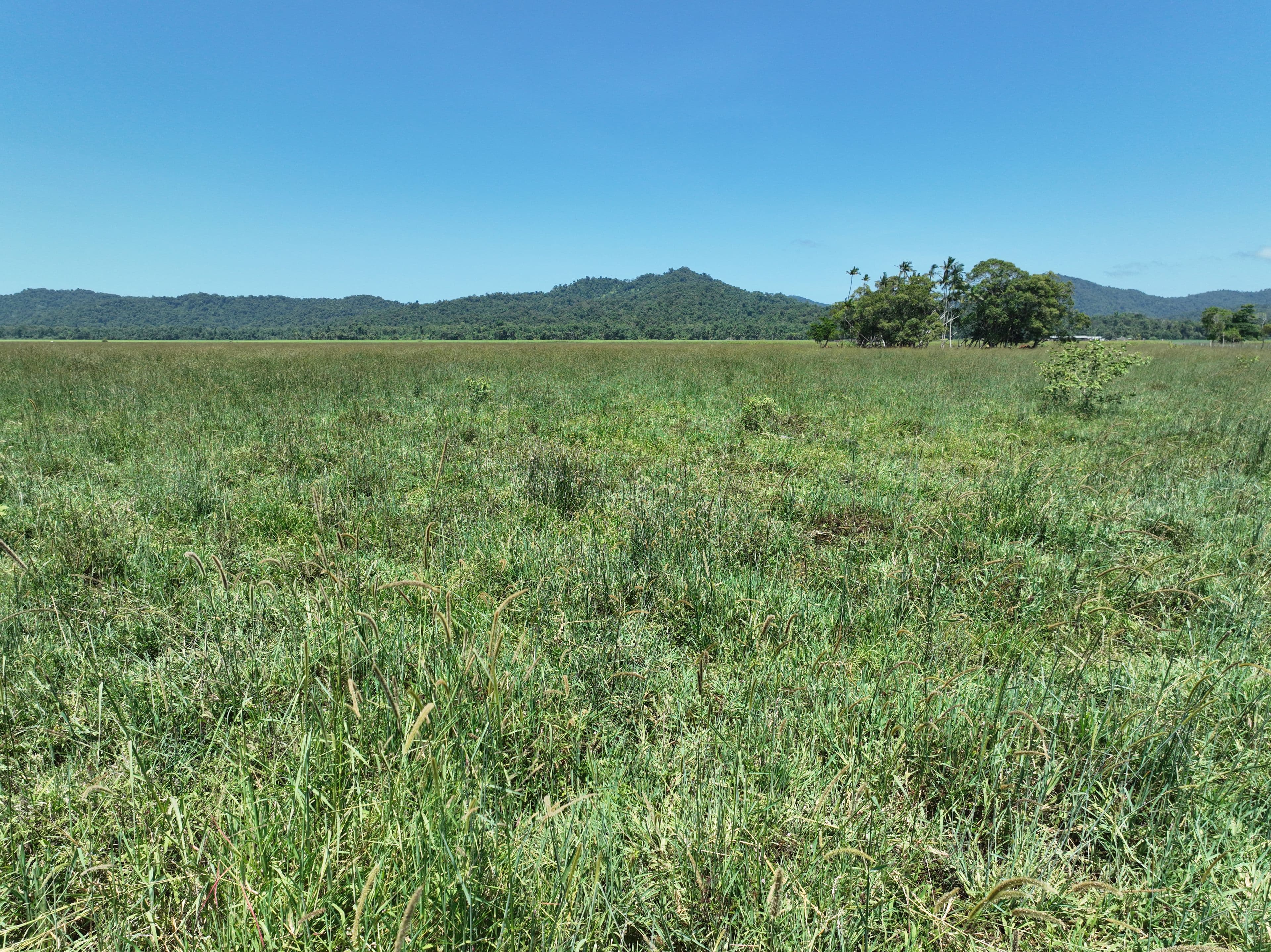 210 Booth Road, MIRRIWINNI QLD 4871, Mirriwinni - Thumbnail 6