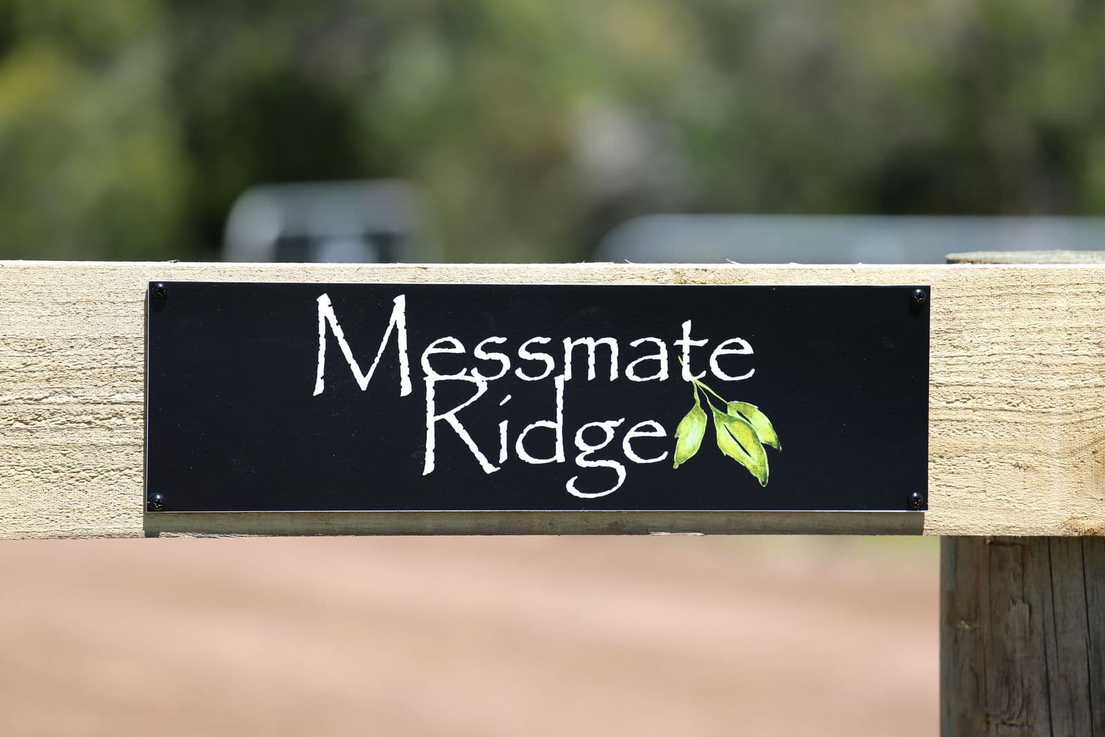 536 Melrose Road, Cooriemungle VIC 3268, Cooriemungle - Thumbnail 2