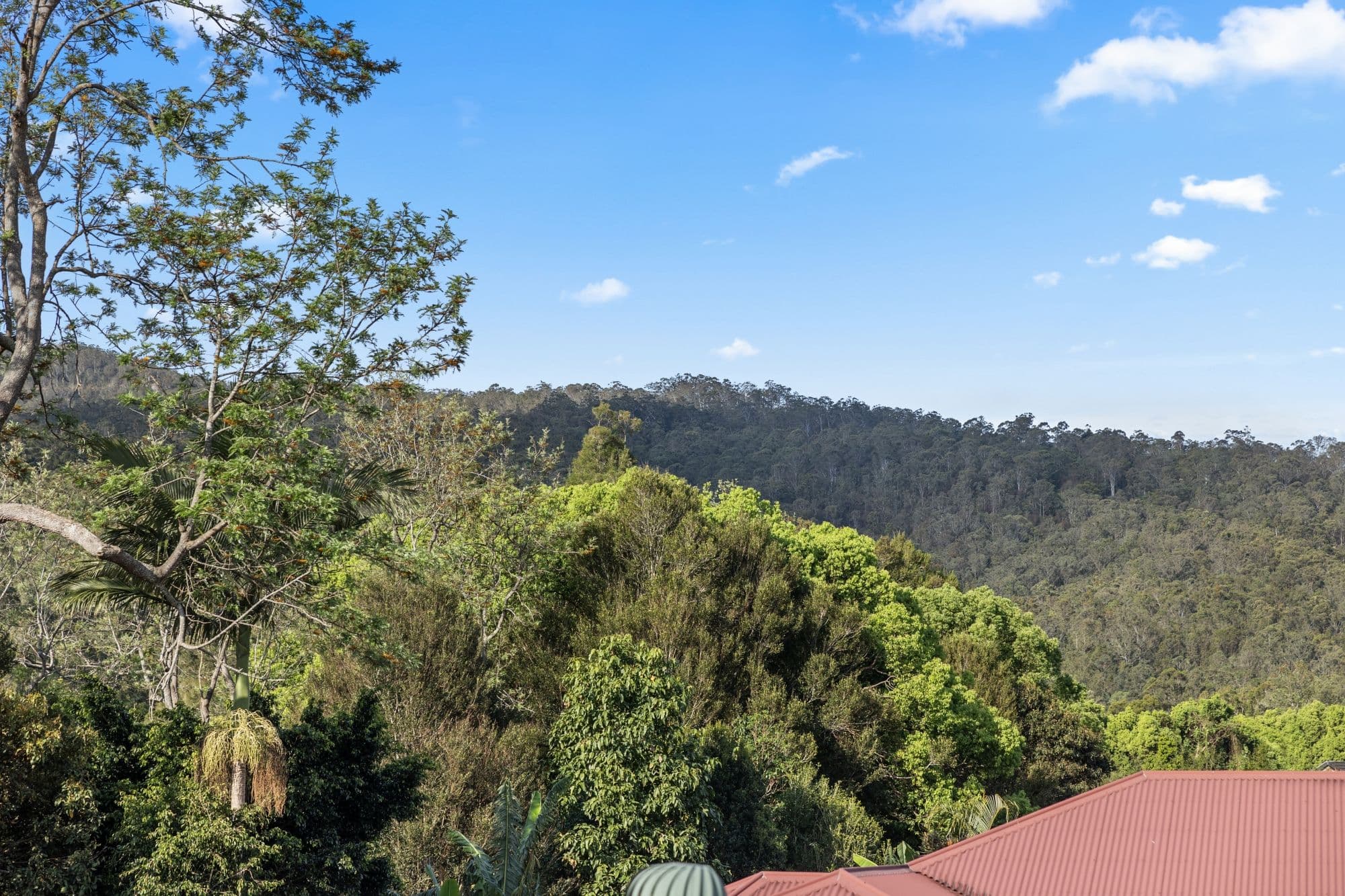 Canungra QLD 4275, Canungra - Thumbnail 6