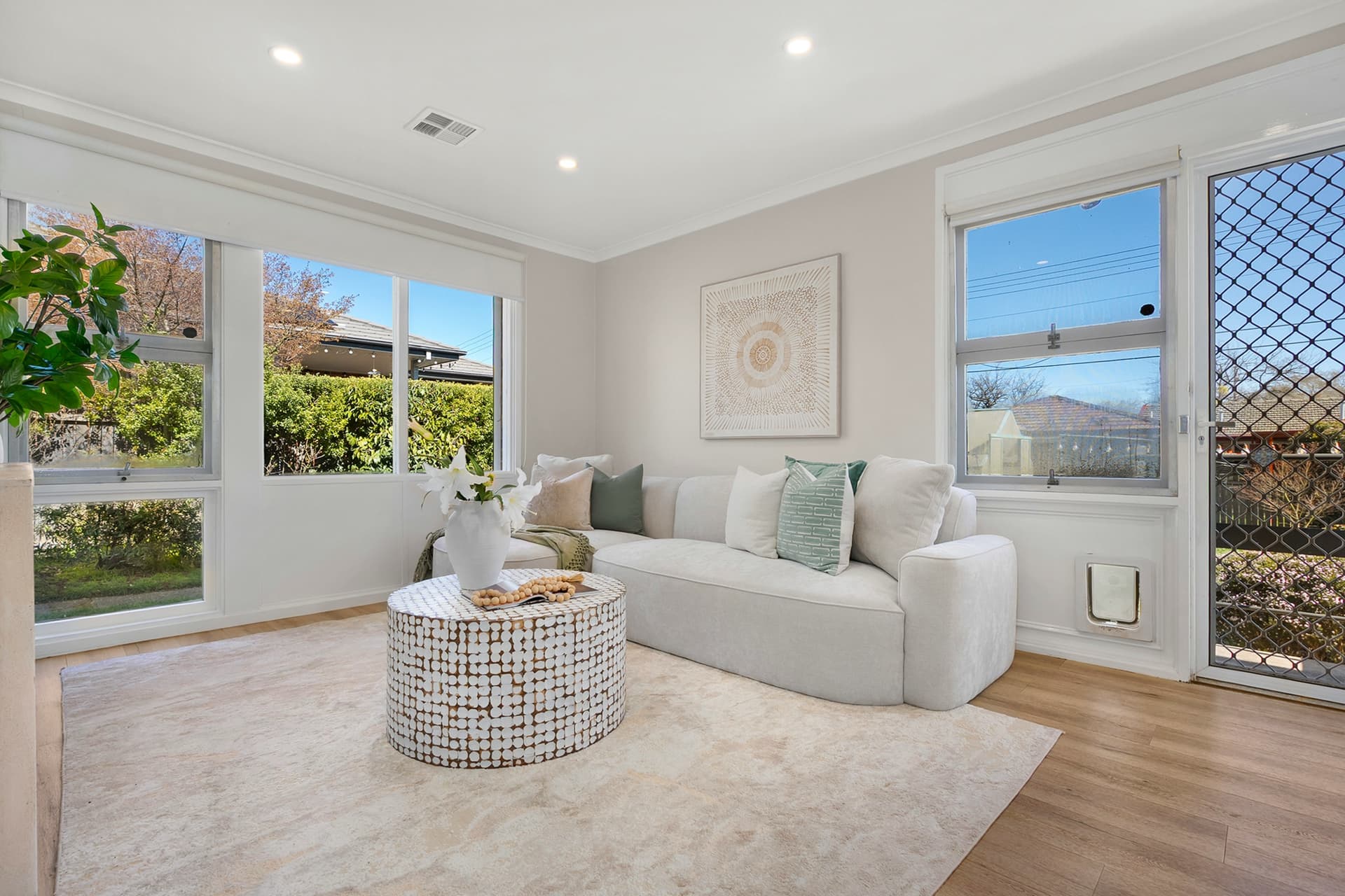 45 Raymond Street, Ainslie, Ainslie - Thumbnail 2