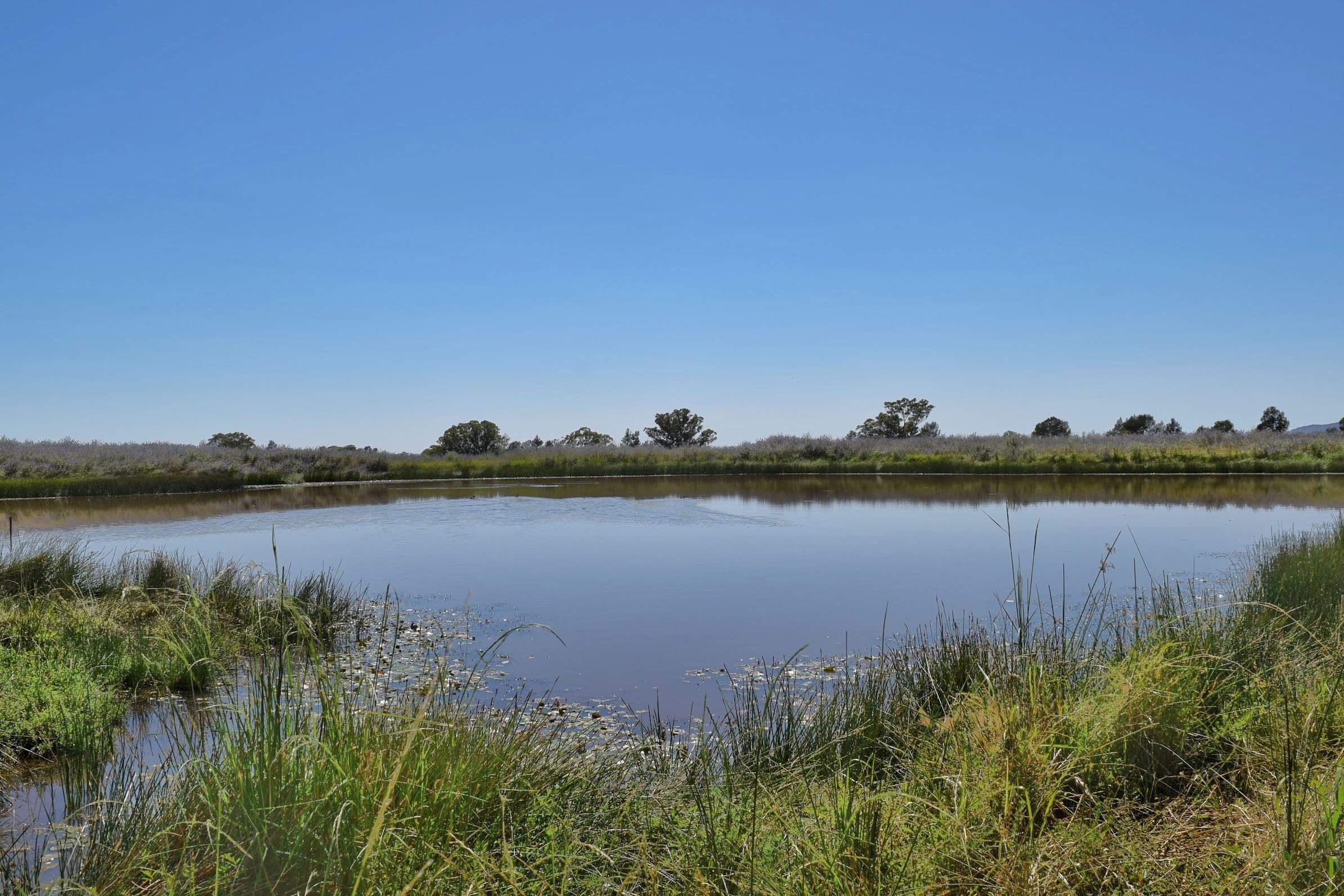 179 Mittons Lane 'Lorna Doone', Pinnacle NSW 2810, Pinnacle - Thumbnail 6