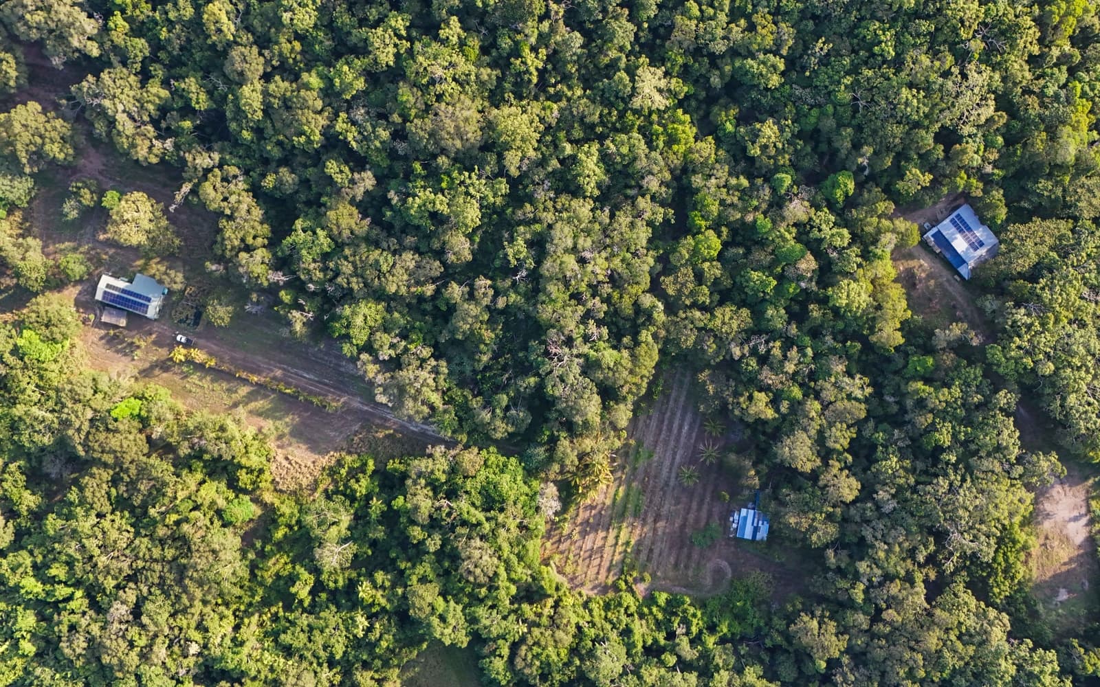 East Trinity Queensland 4871 East Trinity 4871, Queensland, Queensland - Thumbnail 8