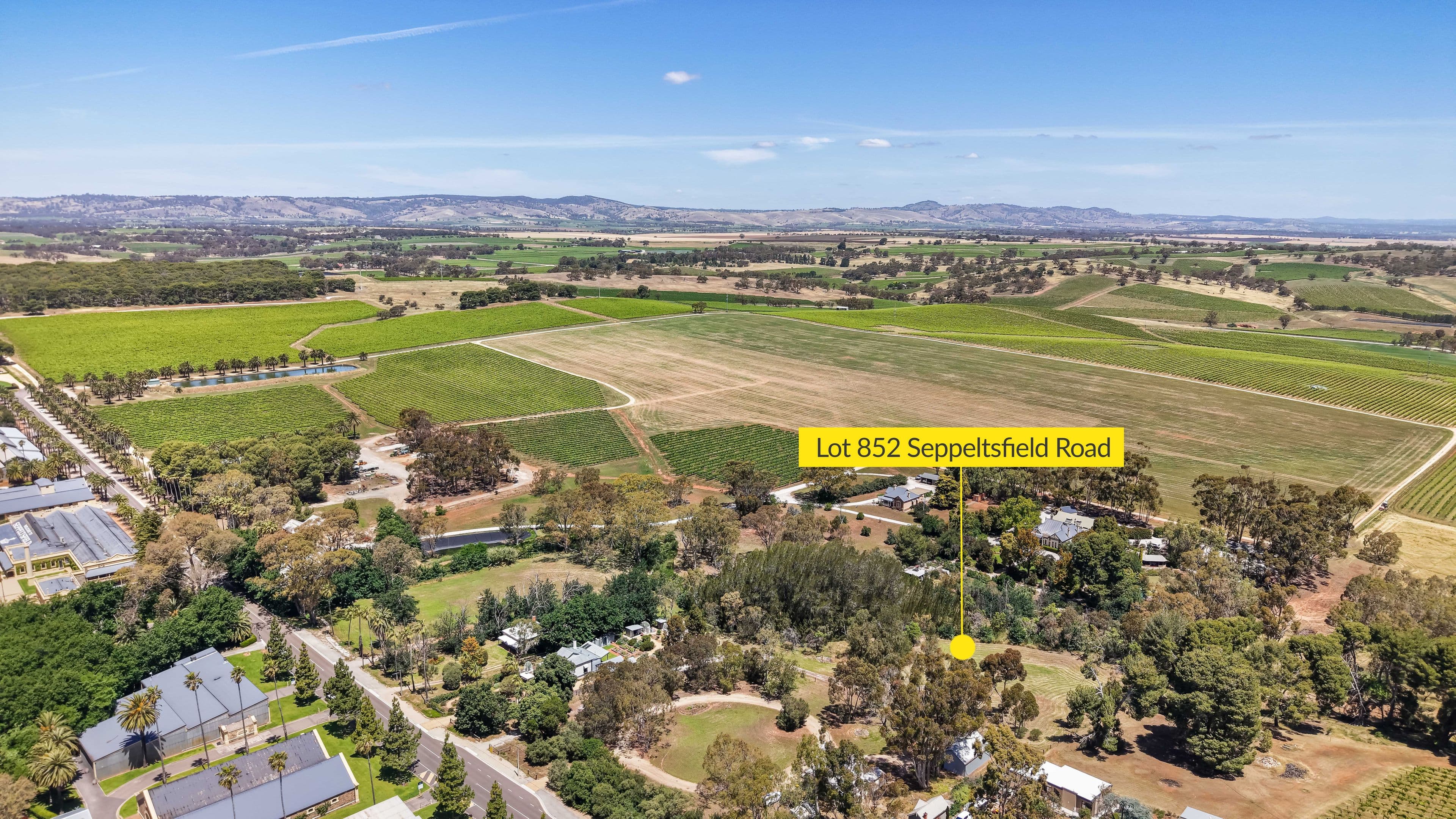 Lot 852 Seppeltsfield Road, Seppeltsfield SA 5355, Seppeltsfield - Thumbnail 3