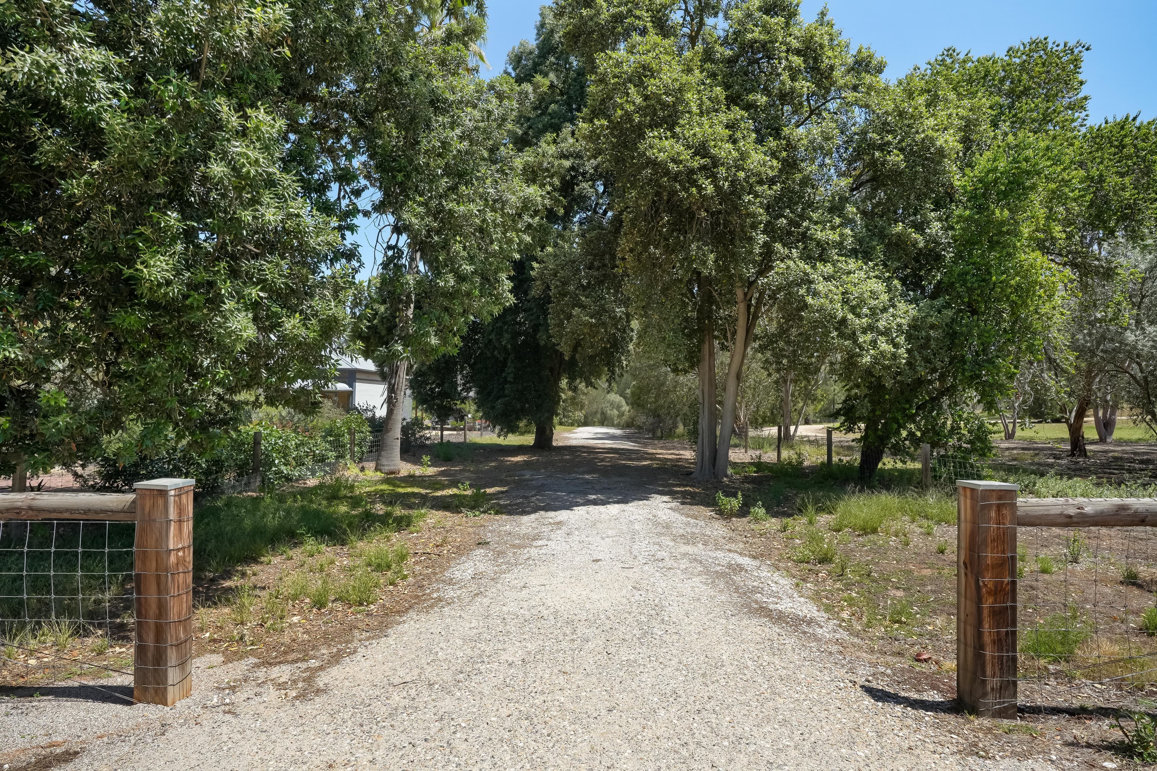 Lot 852 Seppeltsfield Road, Seppeltsfield SA 5355, Seppeltsfield - Thumbnail 5