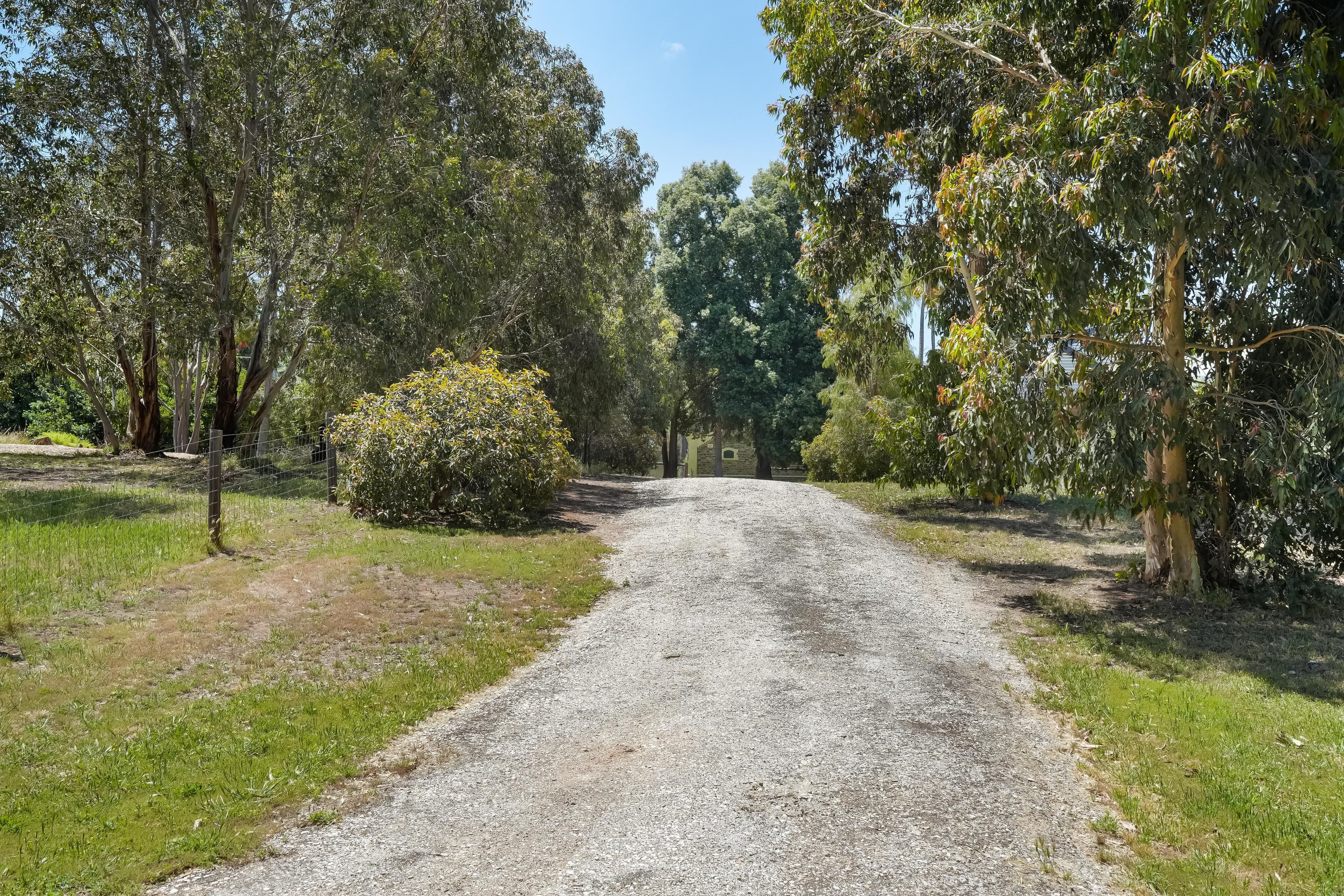 Lot 852 Seppeltsfield Road, Seppeltsfield SA 5355, Seppeltsfield - Thumbnail 7