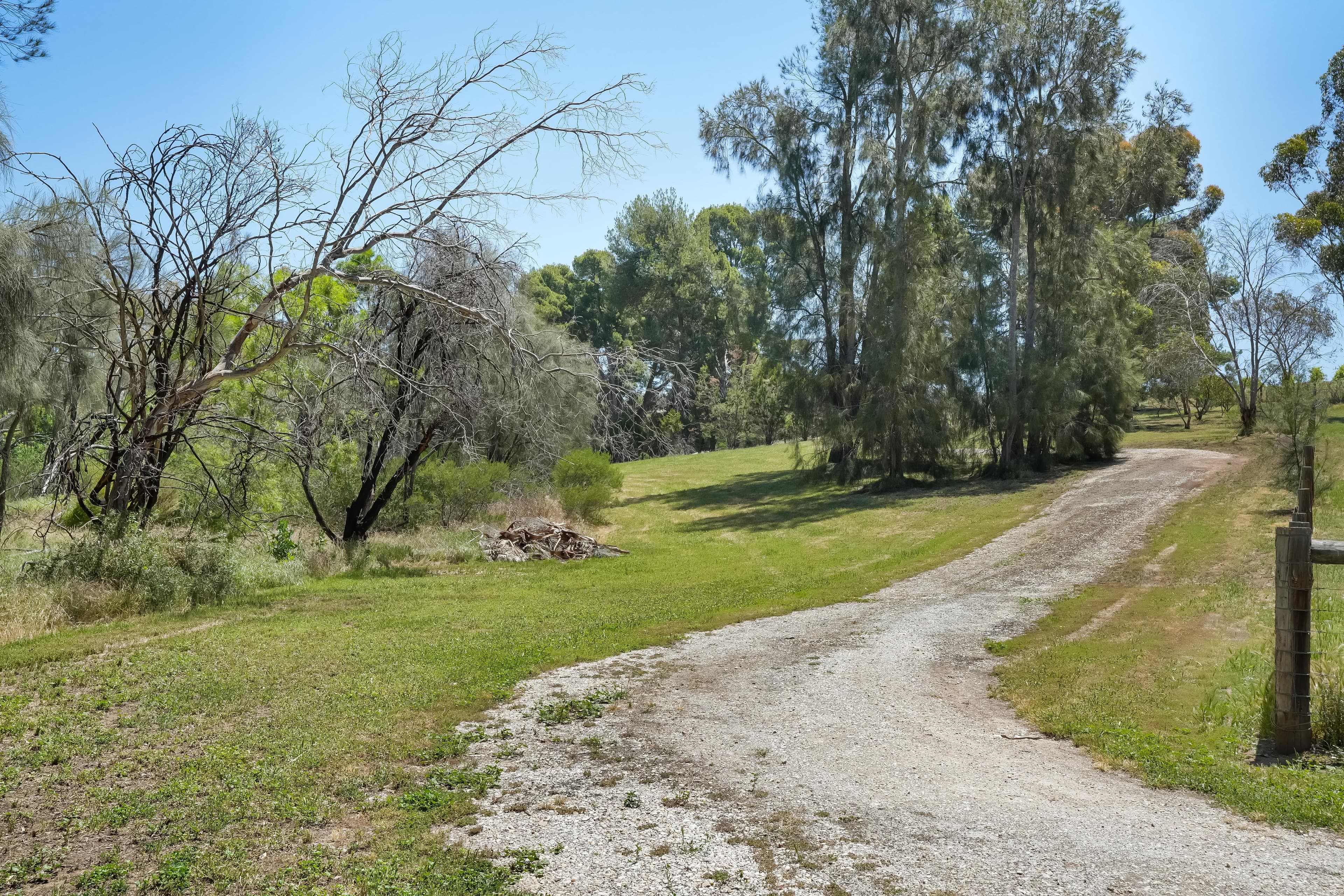 Lot 852 Seppeltsfield Road, Seppeltsfield SA 5355, Seppeltsfield - Thumbnail 8