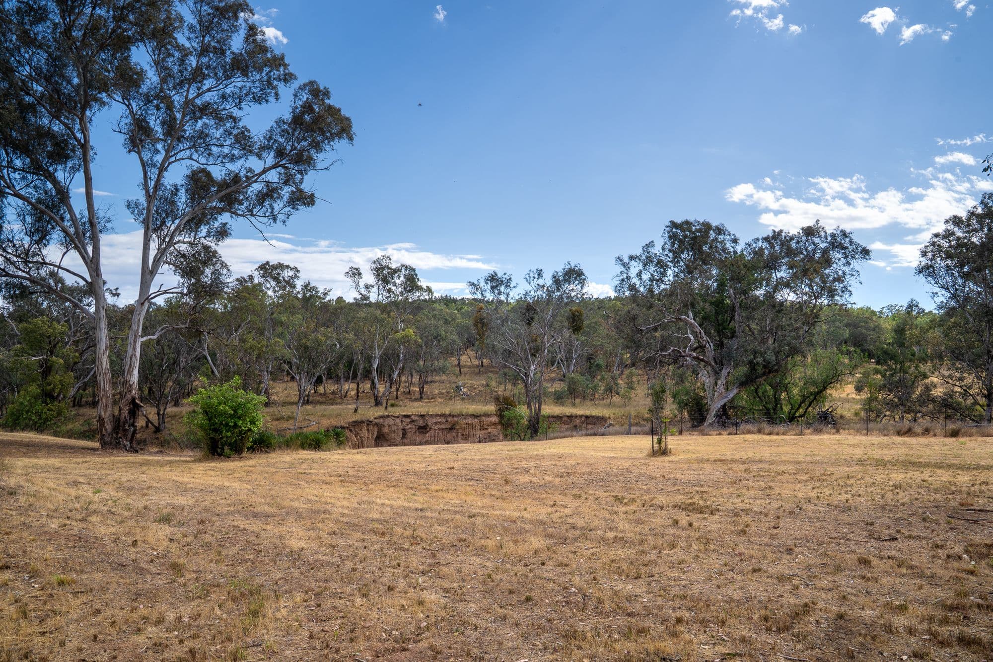 328 Pinecliffe Road, Molong NSW 2866, Molong - Thumbnail 5