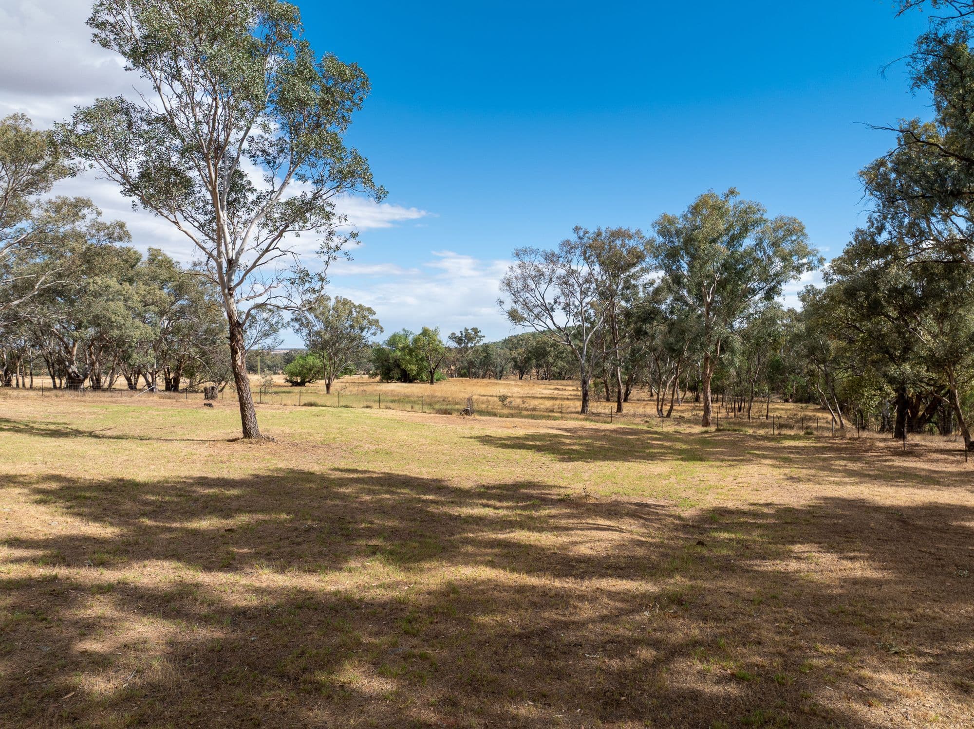 328 Pinecliffe Road, Molong NSW 2866, Molong - Thumbnail 6