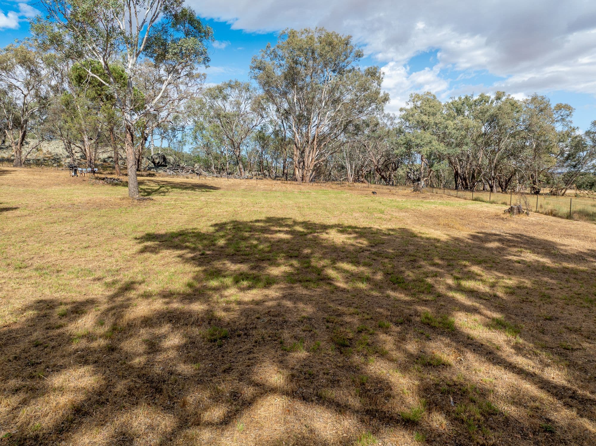 328 Pinecliffe Road, Molong NSW 2866, Molong - Thumbnail 7