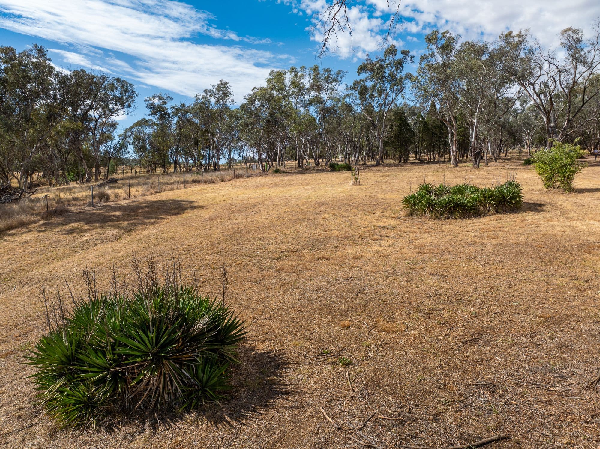 328 Pinecliffe Road, Molong NSW 2866, Molong - Thumbnail 8