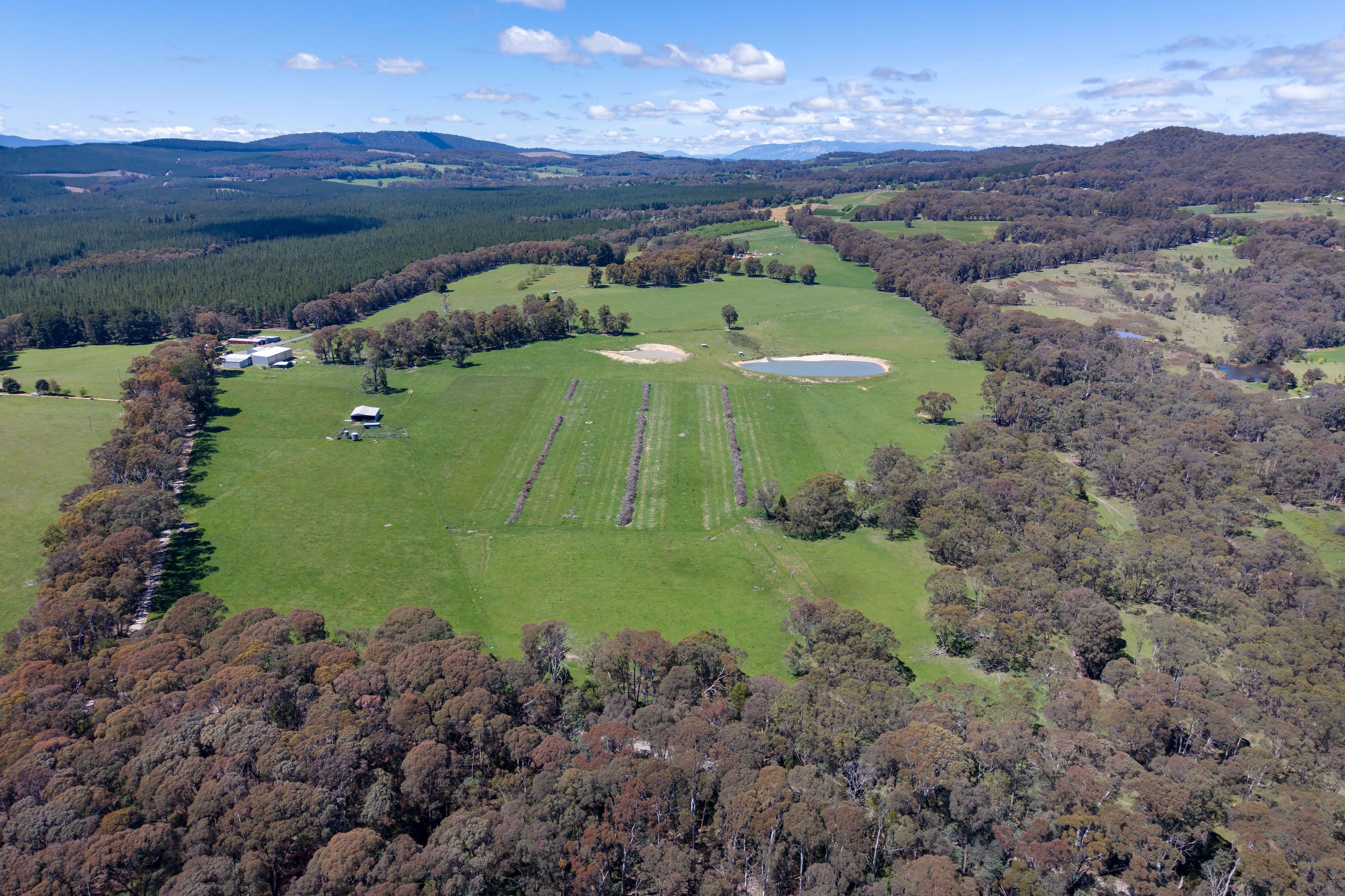 218 Hurdle Flat Road, Beechworth VIC 3747, Beechworth - Thumbnail 2