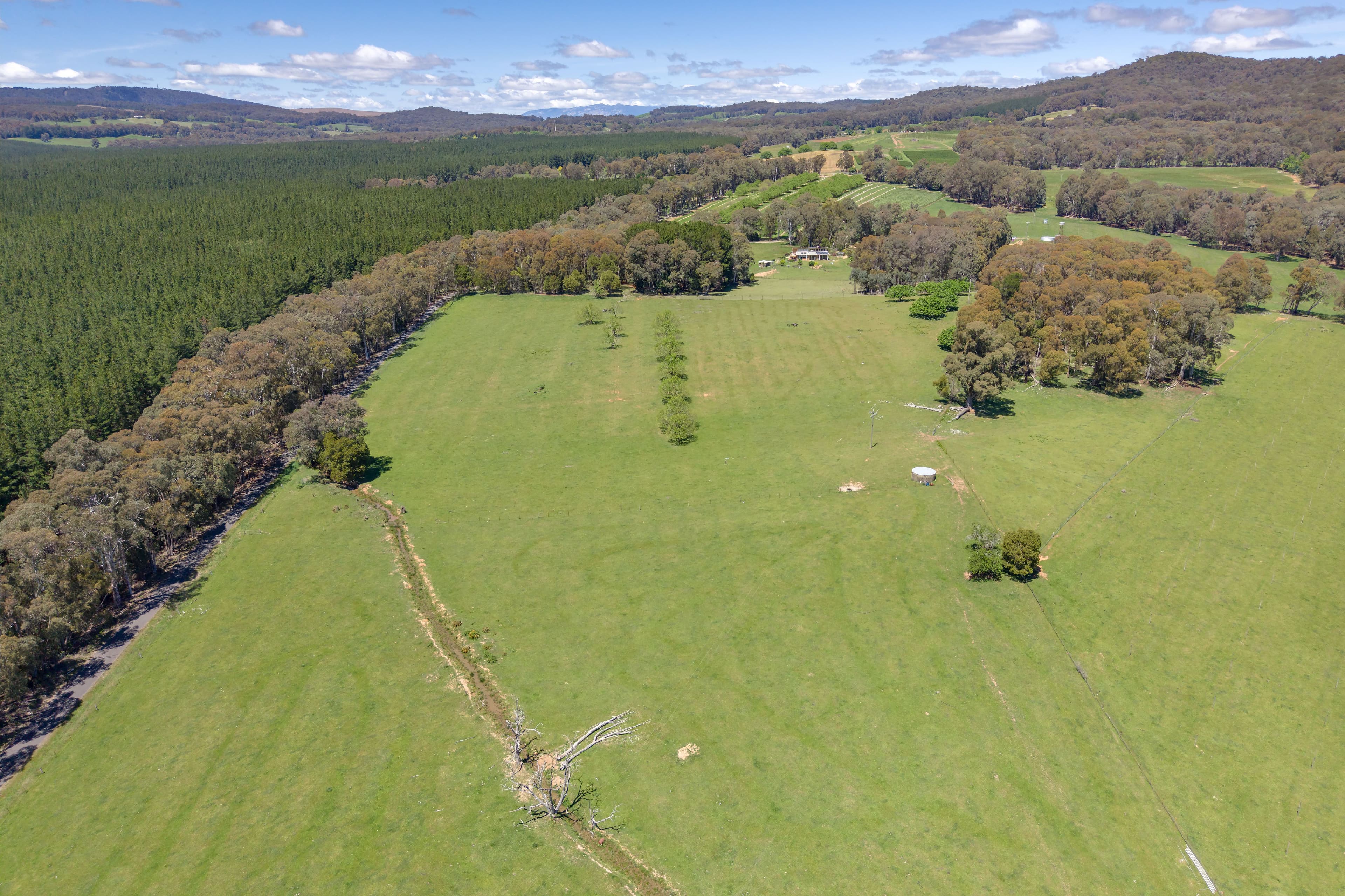 218 Hurdle Flat Road, Beechworth VIC 3747, Beechworth - Thumbnail 4